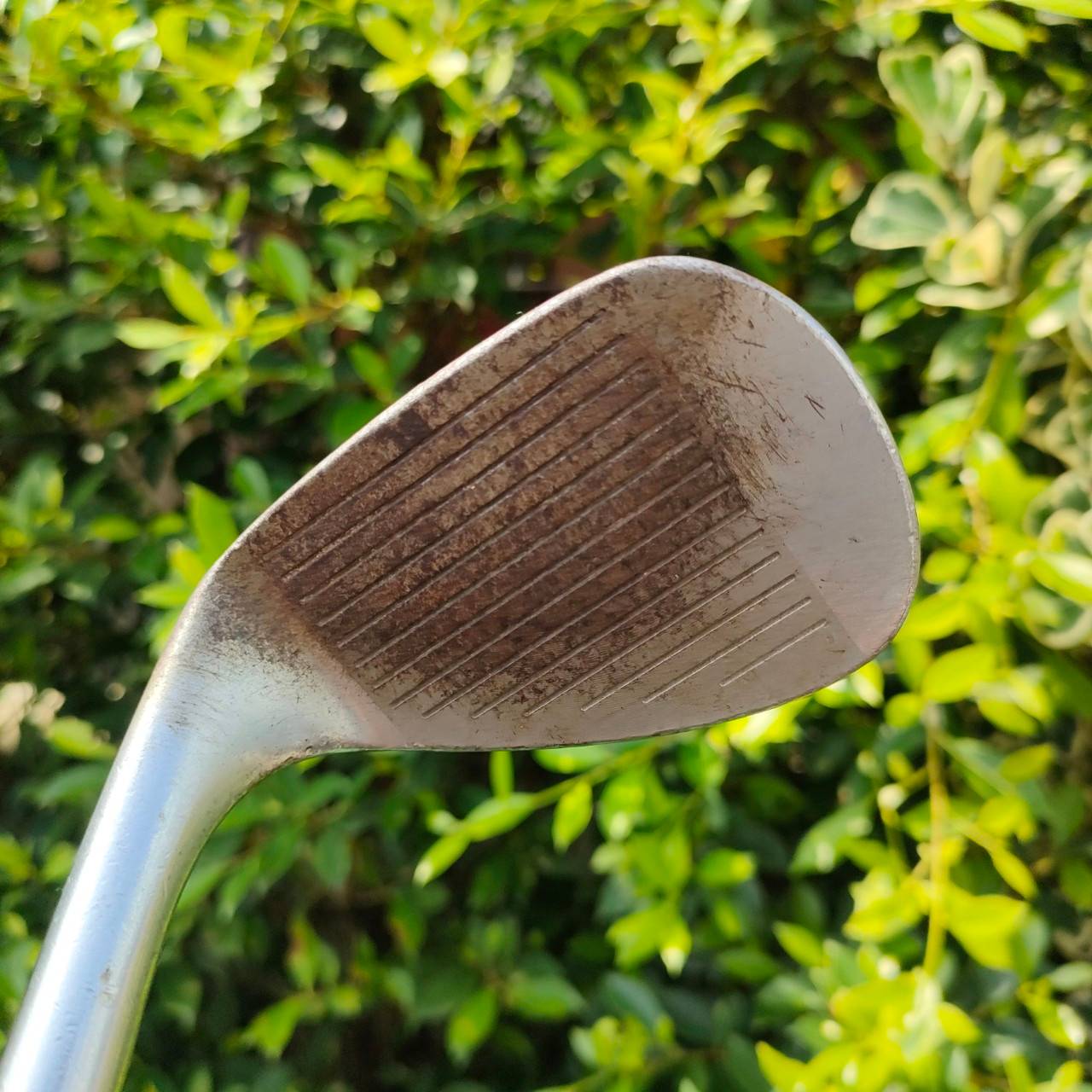 WEDGE HOPKINS GOLF องศา 58 ก้าน KBS TOUR งานนุ่ม สปินดีจัดๆ ของดีมาก FORGED เน้นๆ ร่องคมมาก