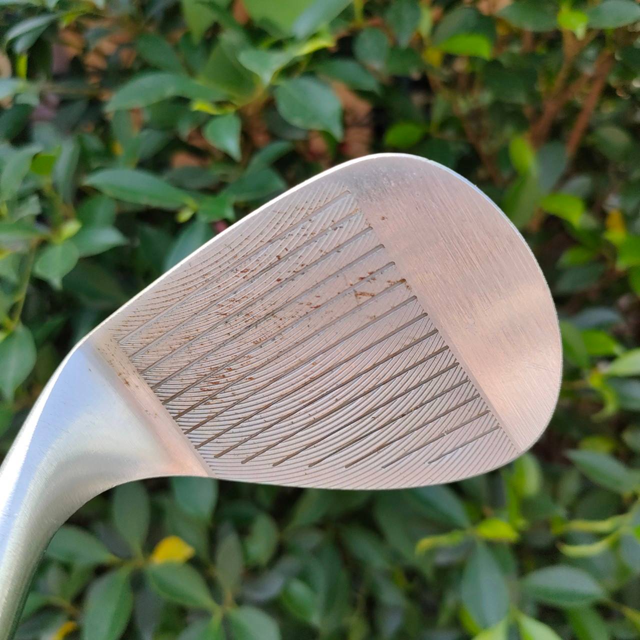 WEDGE RC SS.FORGED องศา 58 BOUNCE 11 ก้าน DYNAMIC GOLD FLEX WEDGE