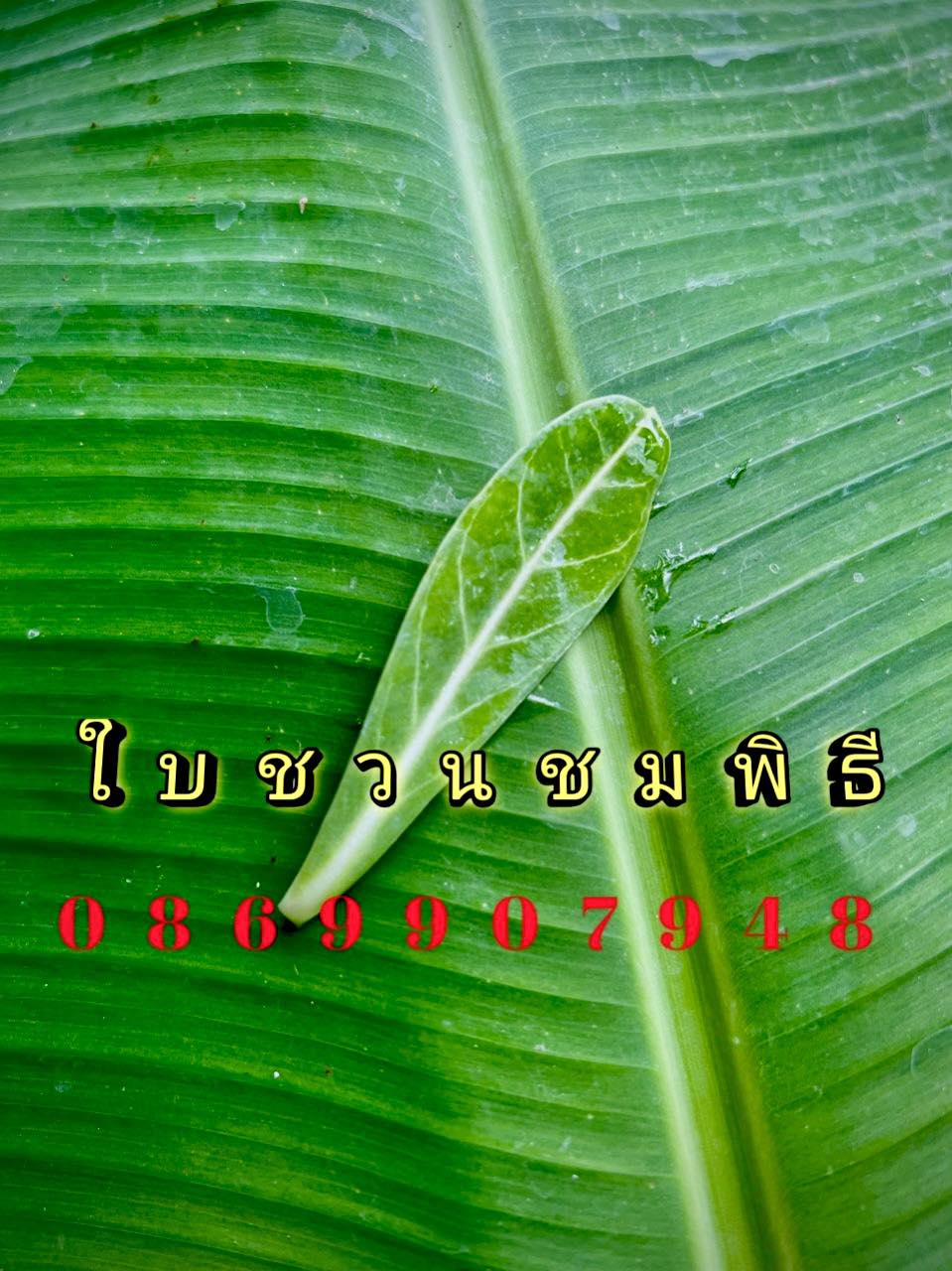 ใบไม้มงคล (พิธี)