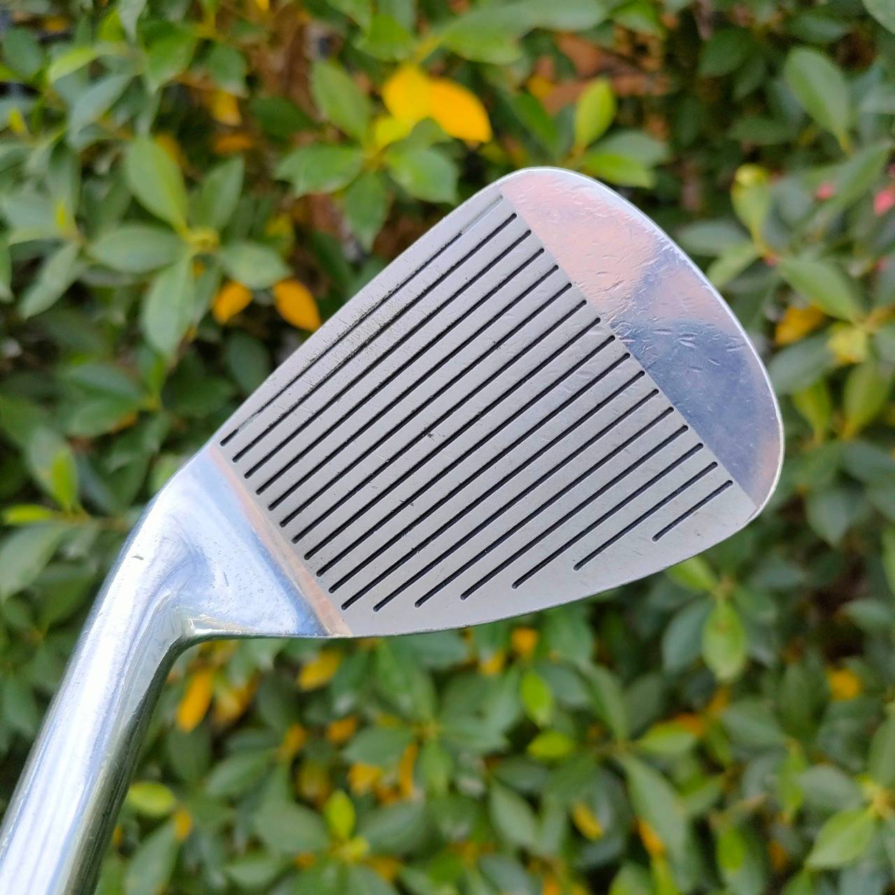 เหล็ก10 HONMA PROFESSIONAL CL-707 ก้าน EXTRA FLEX S2 MADE IN JAPAN