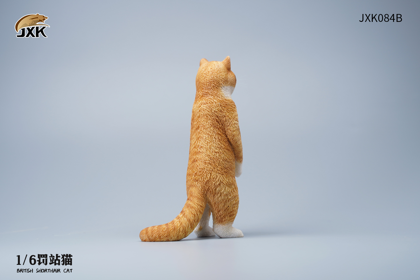 [สั่งจอง] JXK JXK084 1/6 : British Shorthair Cat