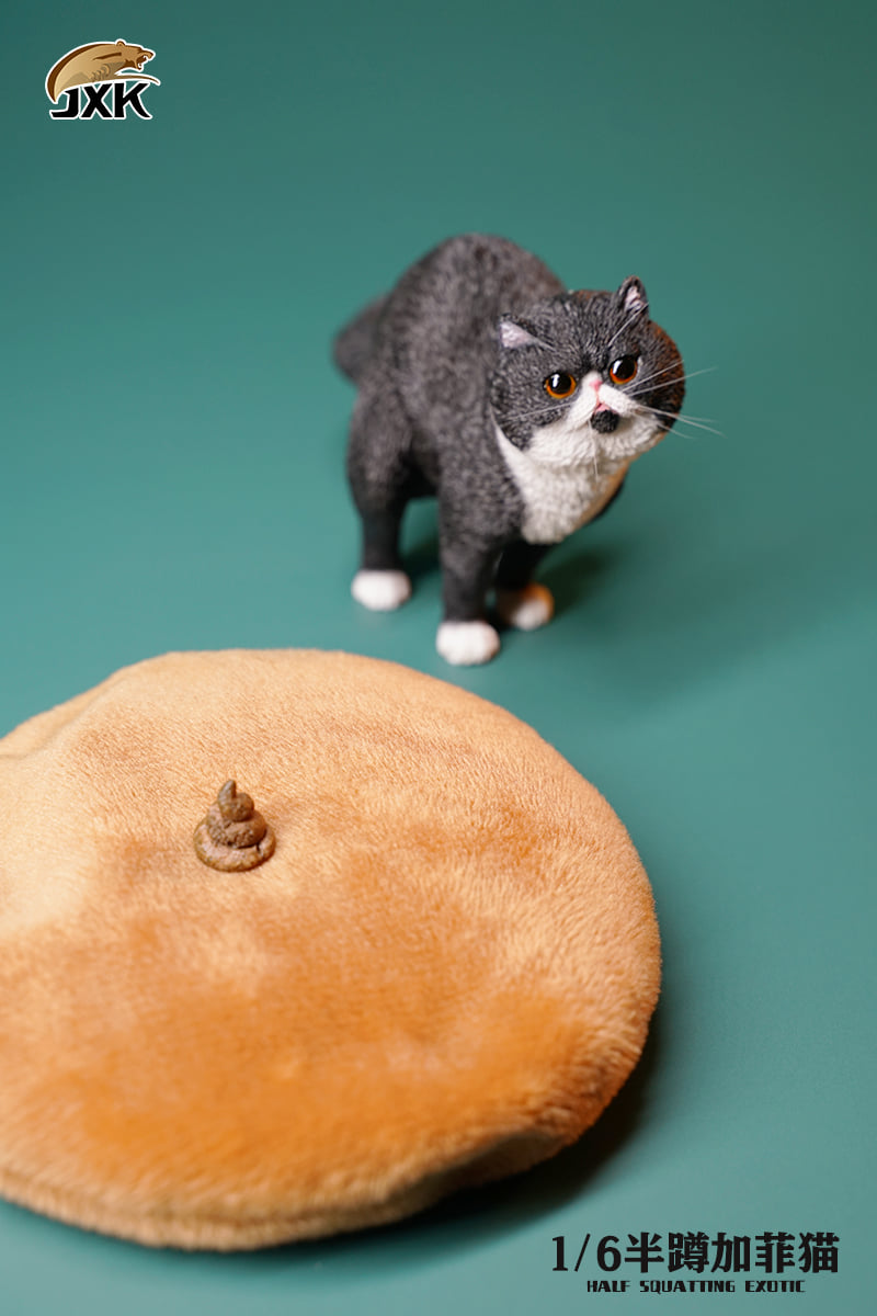 [สั่งจอง]JXK JXK073 ABCD 1/6 : Half squatting ExoticShorthair