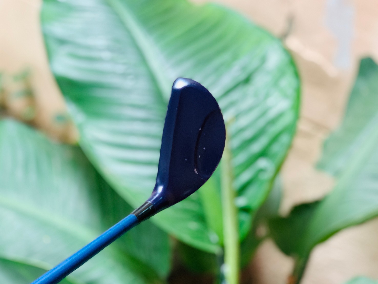 HYBRID PERFUF MAX WSC-37 LOFT*R