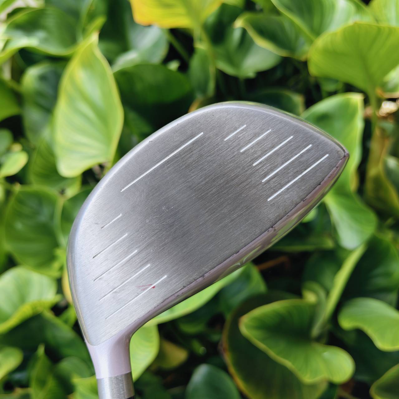 Driver Mizuno Zephyr (ญี่ปุ่น) – Flex Lady ไดรเวอร์คุณภาพจากญี่ปุ่น สำหรับผู้หญิง