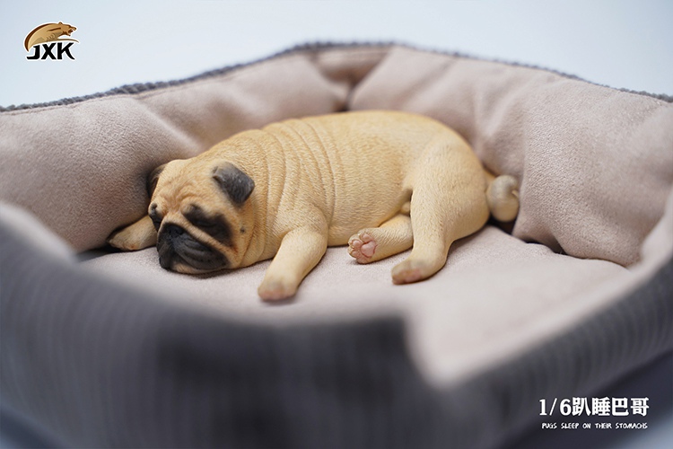 [สั่งจอง] JXK JXK085 1/6 : Pugs Sleep On Their Stomach