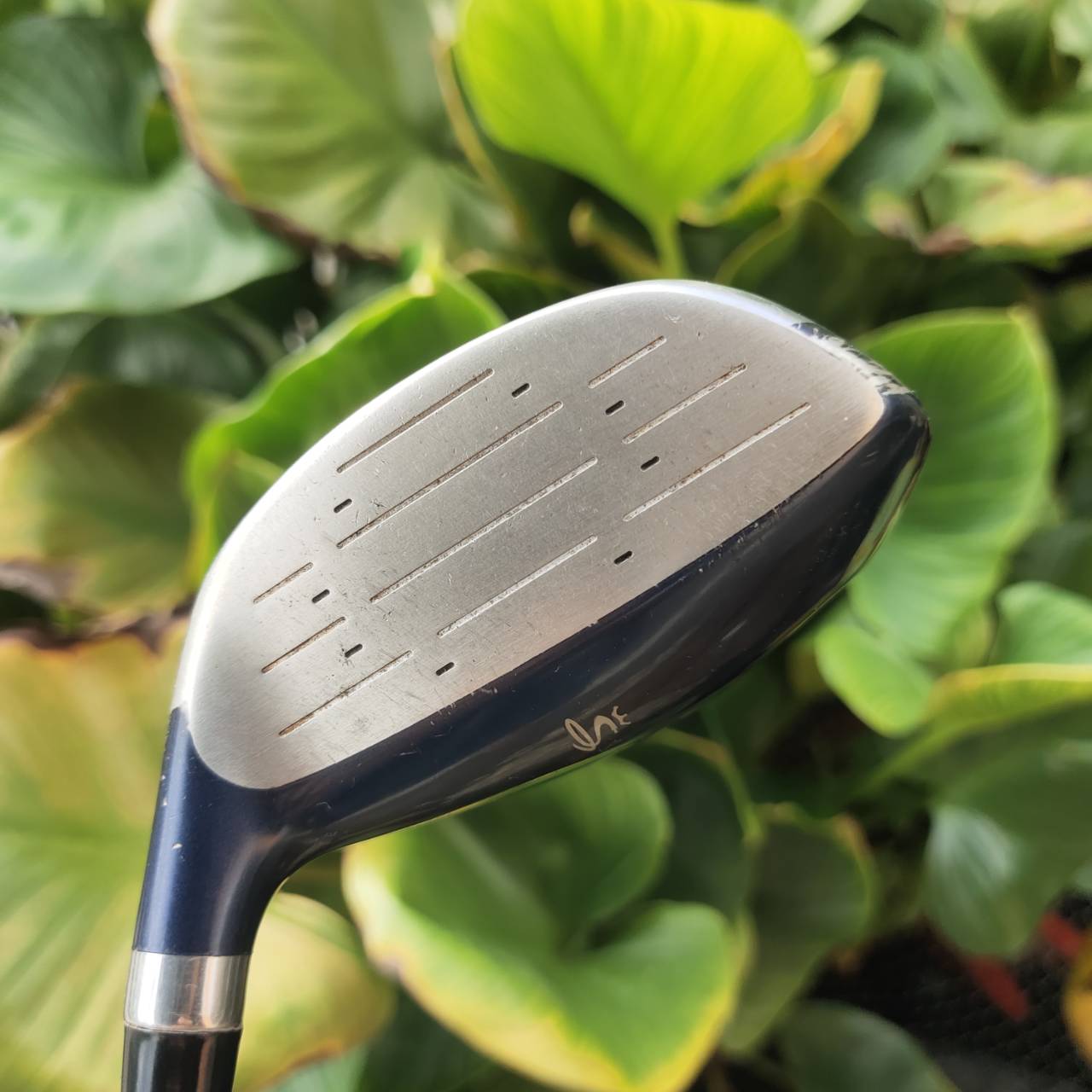 ไม้กอล์ฟผู้หญิง 5W - KING COBRA M/SPEED OFFSET หน้าเด้งมาก กระดองเด้งด้วย