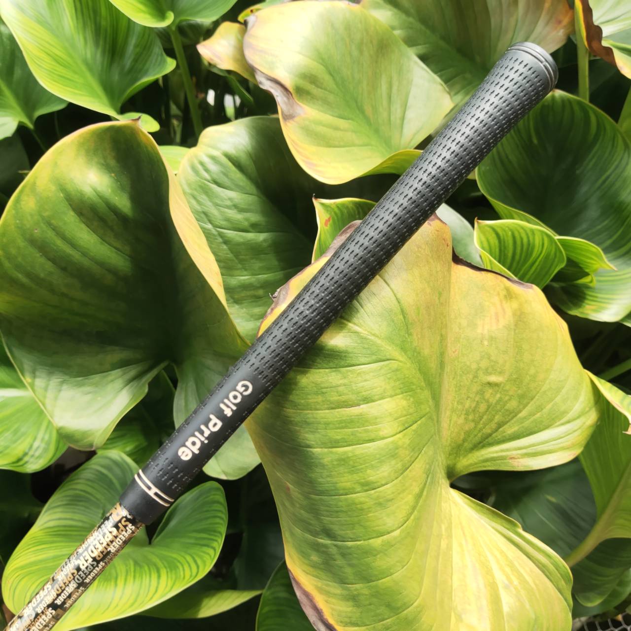 Driver Cleveland Hi-Bore กระดองปาด วาง CG ต่ำและลึก ช่วยให้ตีโดนง่าย ลูกออกเร็ว