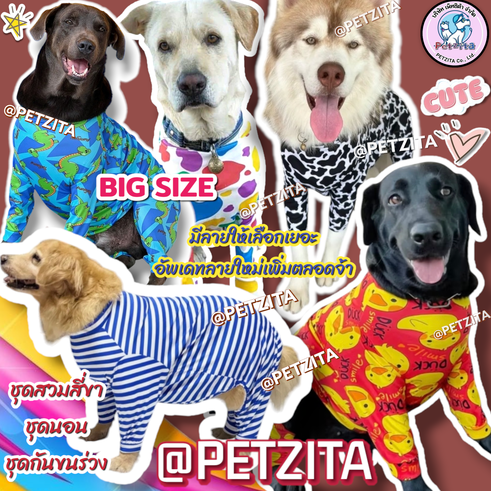 🇹🇭พร้อมส่ง🇹🇭(ลิ้งค์1)🐶🐕 BIG SIZE ชุดสี่ขา ชุดกันขนร่วง สุนัขพันธุ์ใหญ่ หมาใหญ่ เสื้อหมา โกลเด้น ลาบาดอร์ ไซบีเรียน เสื้อสุนัข หมาอ้วน
