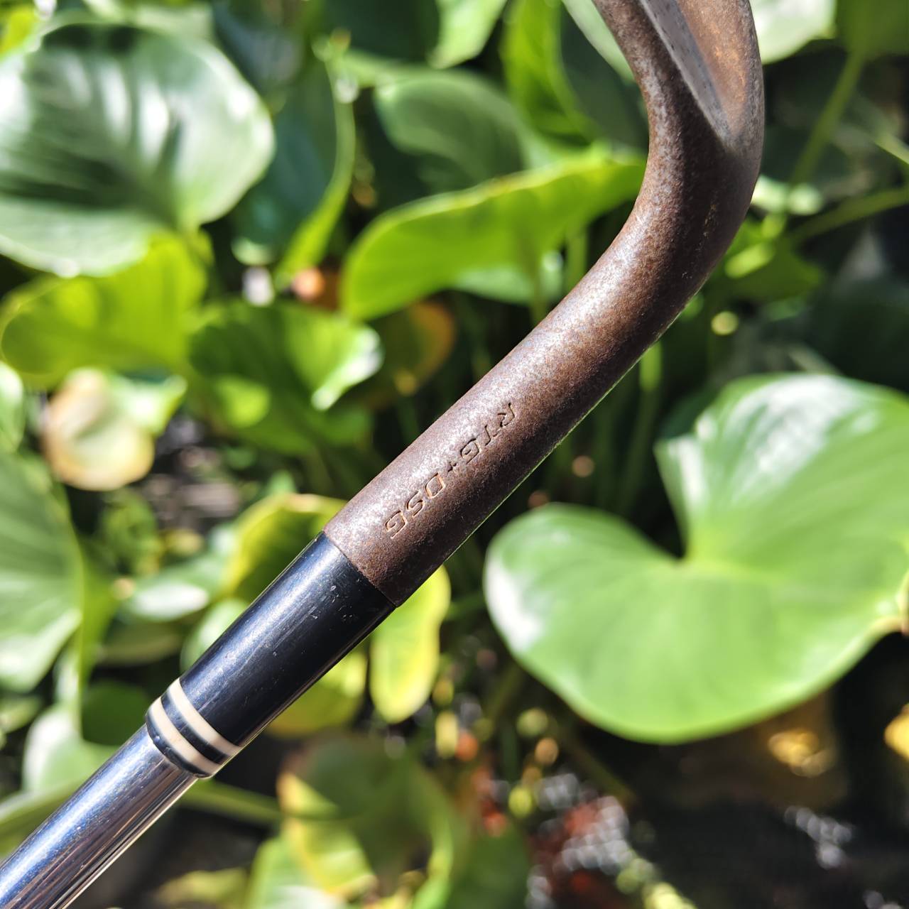 WEDGE สปินโหดๆ CLEVELAND CG12 • Loft 56° • ZIP GROOVE รุ่นร่องสี่เหลี่ยม!