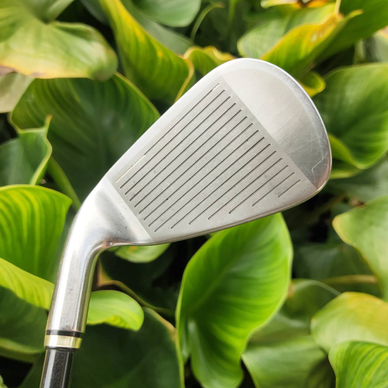 ชุดเหล็ก XXIO MP400 – หน้าเด้งไทเทเนี่ยม ตีง่าย เด้งไกลทุกเบอร์! ของดีจากญี่ปุ่น++