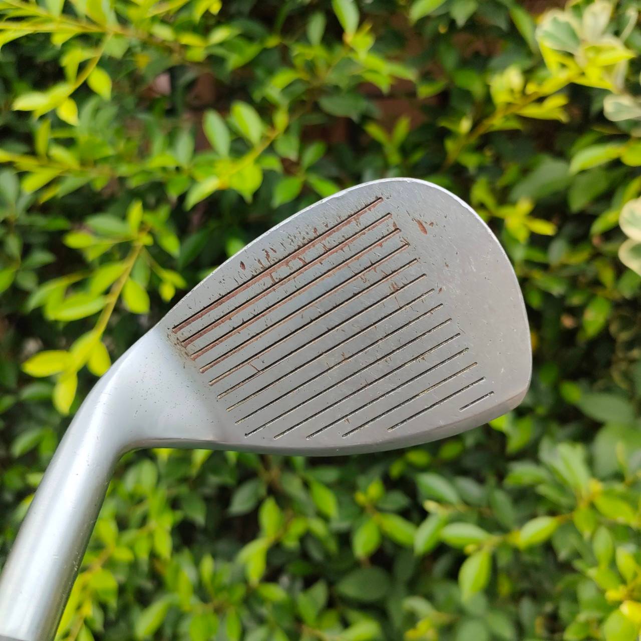SW HONMA LB-606 ก้าน TITANIUM -CARBON FLEX R-1 ก้าน 1 ดาว * องศา 56 HIRO HONMA MADE IN JAPAN