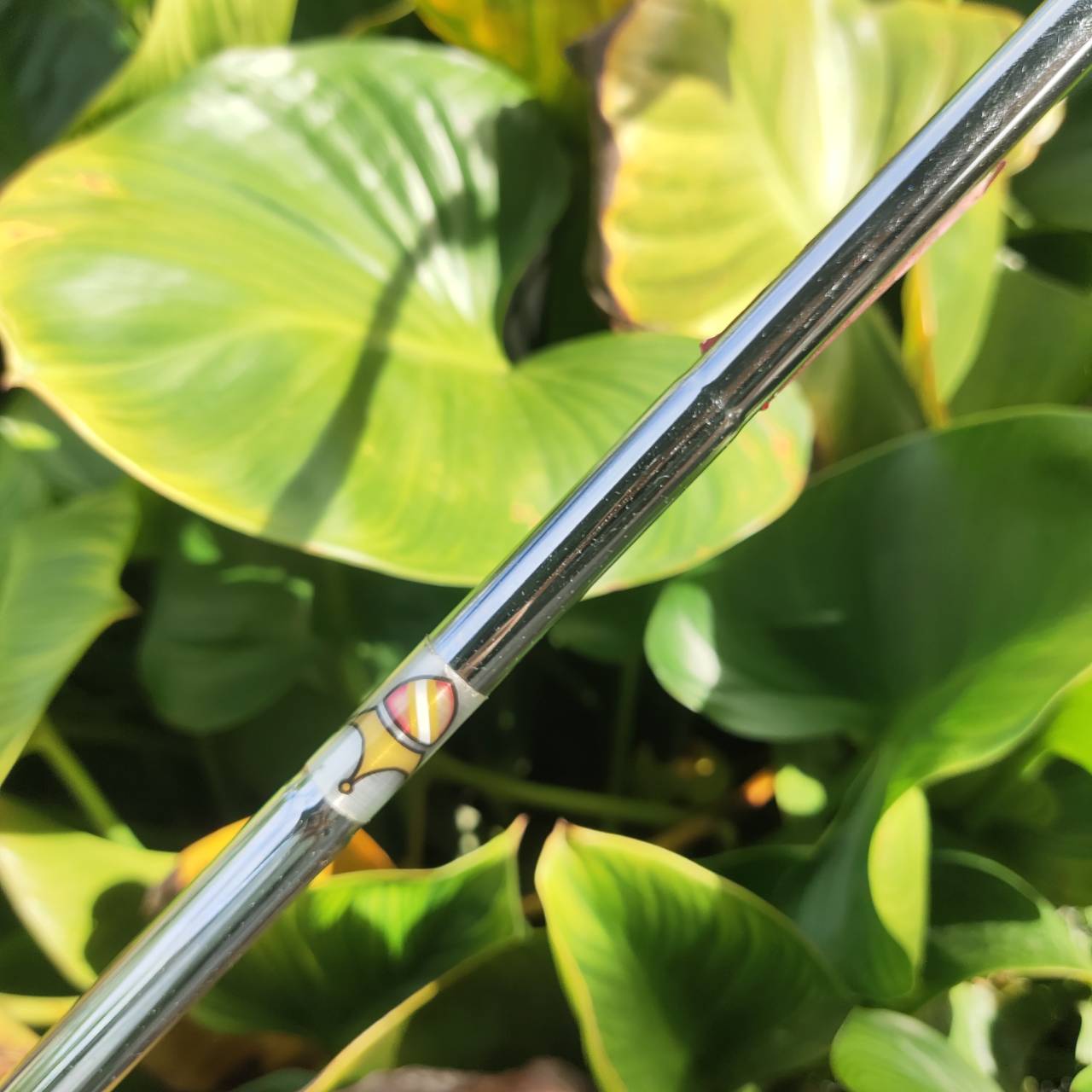 สุดยอดของ CAMERON Teryllium/Tel³ (อัลลอย์ 12 โลหะ) PUTTER Scotty Cameron Newport® 2 Long Neck