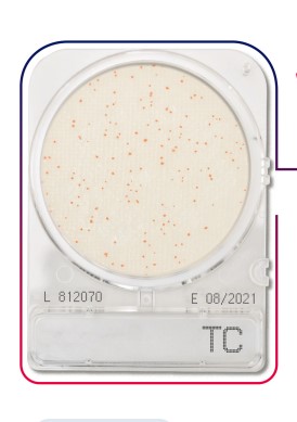เพลทนับเชื้อสำเร็จรูป Compact Dry Total plate count (TC) 40/pK