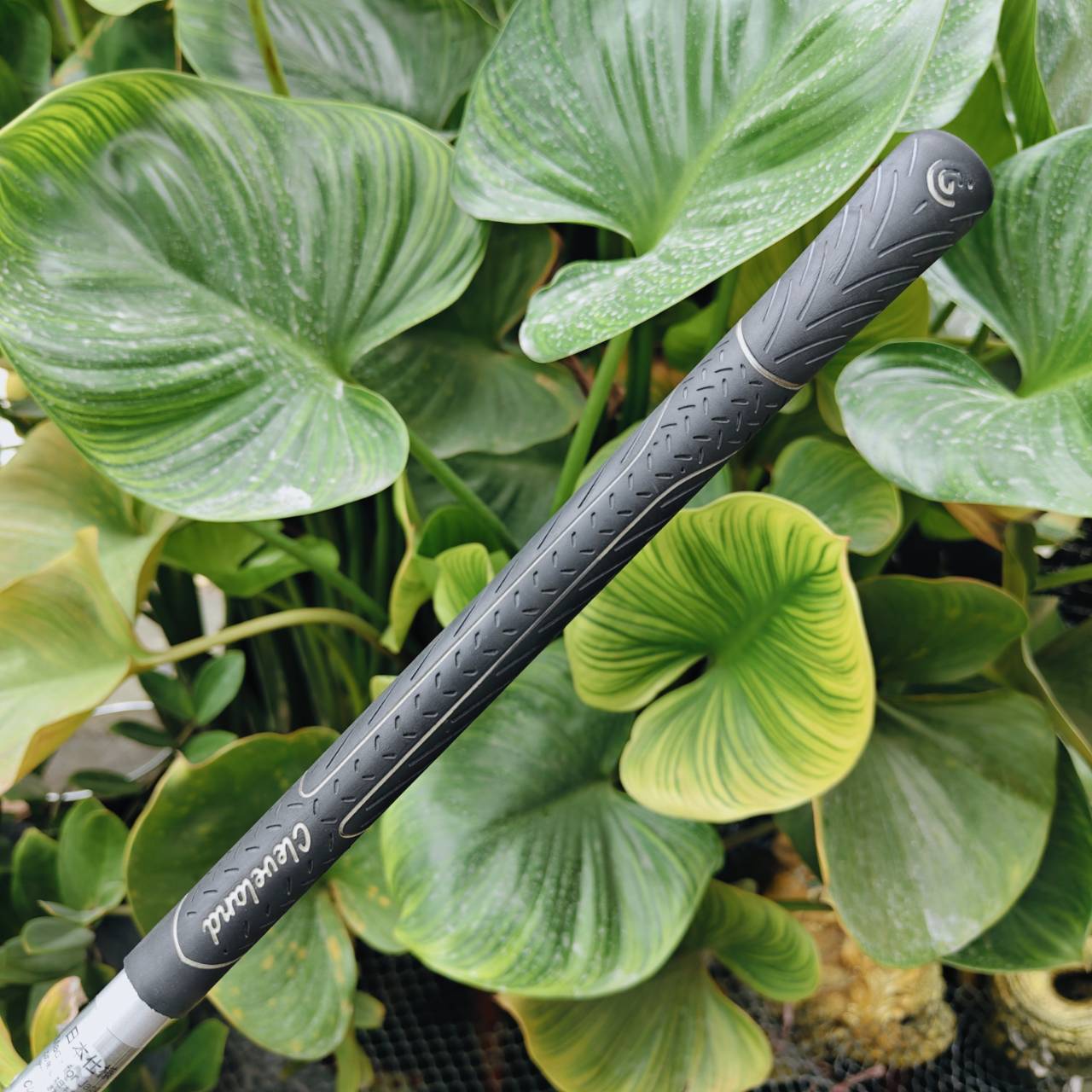 Cleveland Hi Bore XLS Driver ออกแบบกระดองพิเศษเพื่อพลังแห่งความแม่นยำและระยะทางที่มั่นใจ