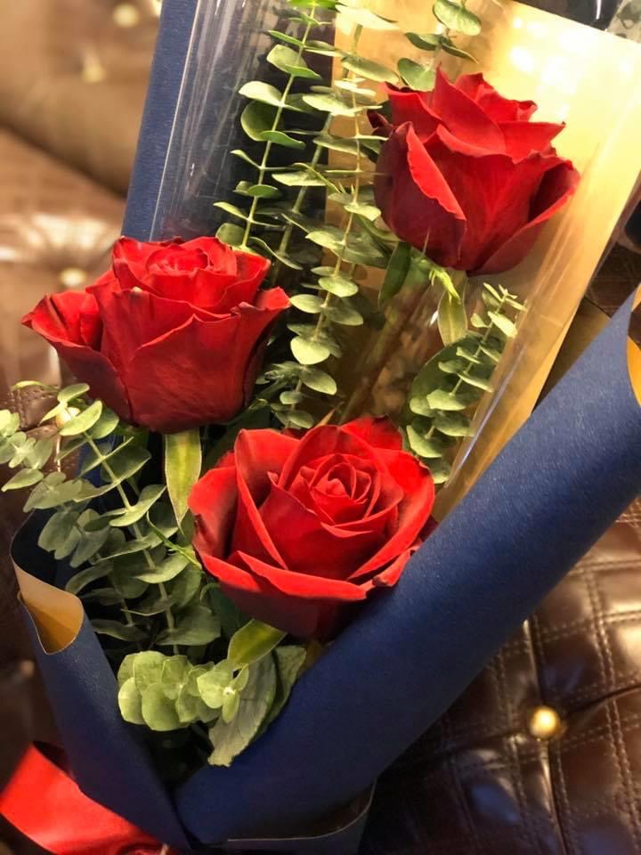 กุหลาบเอกวาดอร์