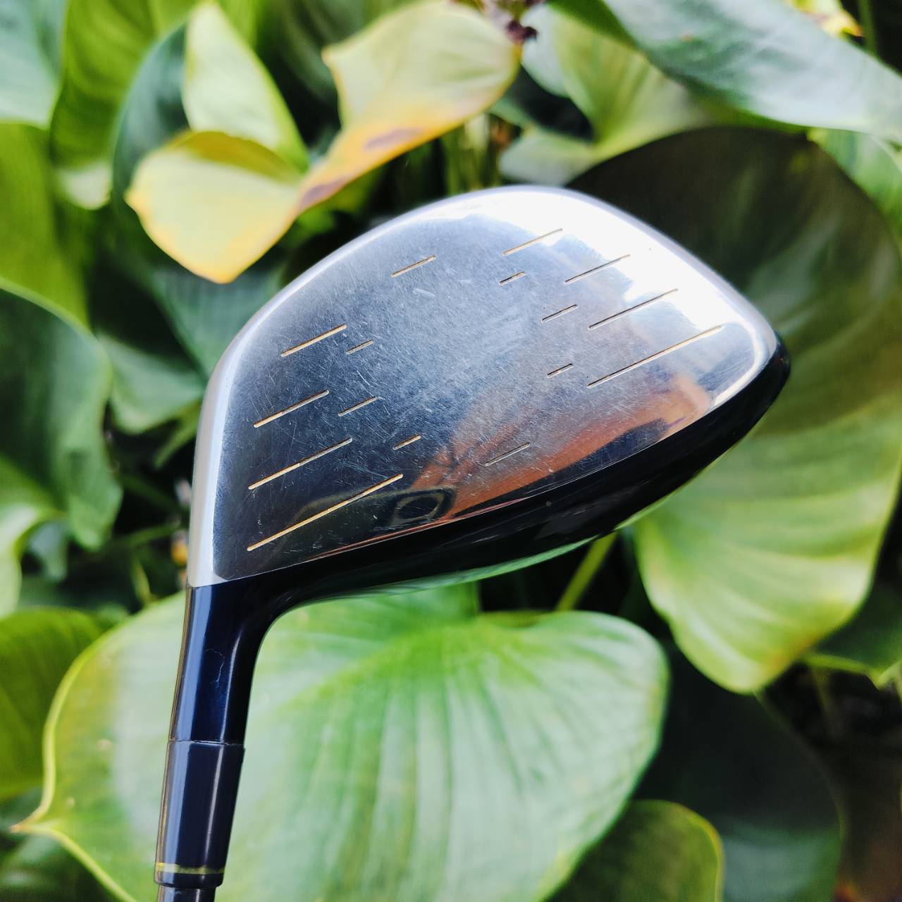 Driver KATANA SWORD iZU TYPE 7 องศา 10 GRAPHITE DESIGND FLEX R1 ไม้หน้าเด้งพรีเมี่ยมญี่ปุ่น ตีง่ายมากๆ ตีไกลสุดๆ ไม้กอล์ฟพรีเมี่ยมมือสอง ของแท้ By NakaraLuxurious