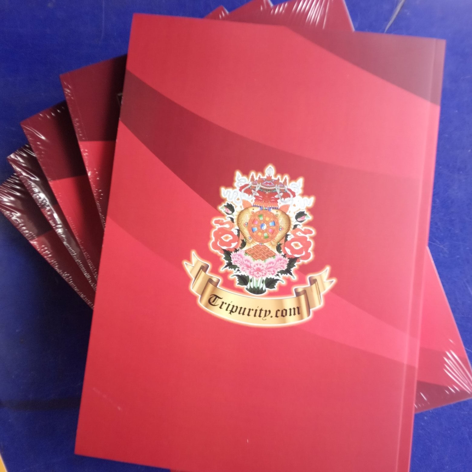 คัมภีร์สามัญญคัมภีรสาคร เล่ม 4 พร้อมส่ง