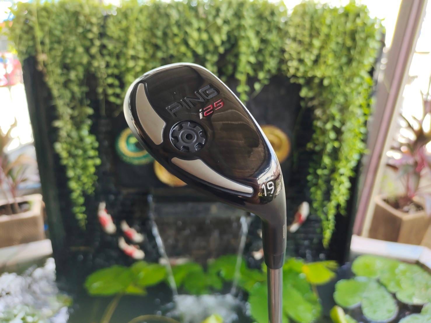 HYBRID PING i25 องศา 19