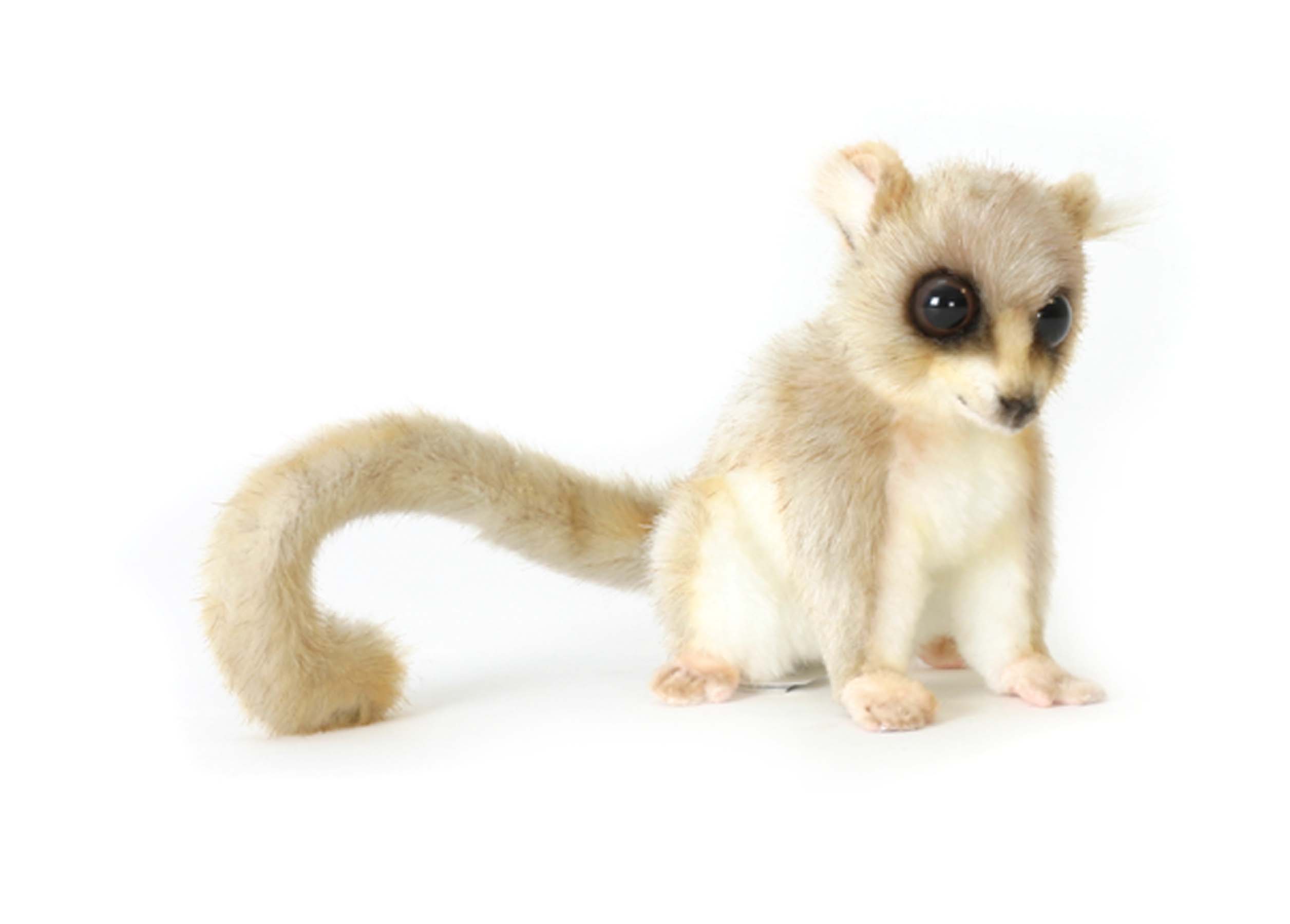 5216 Mouse Lemur 14 cm.H