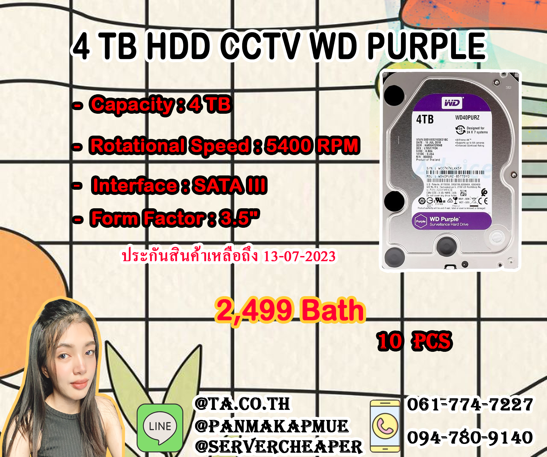 Harddisk WD PURPLE 4TB Sata 3.5