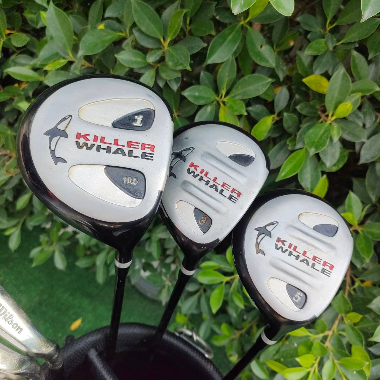 FULLSET WILSON KILLER WHALE ทั้งชุดประกอบด้วย หัวไม้ 1 3 5 ก้าน KILLER WHALE FLEX R ชุดเหล็ก 3-9 เเละ PW SW PUTTER WILSON พร้อมถุงกอล์ฟ WILSON เดิมๆทั้งชุด ครบเลยครับ พร้อมออกรอบได้เลยครับ ไม่ต้องซื้ออะไรเพิ่มแล้ว