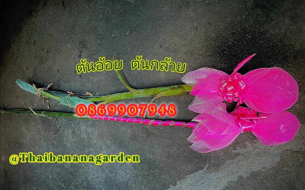 ต้นอ้อย ต้นกล้วย (ขันหมาก) (ทรงเครื่อง)