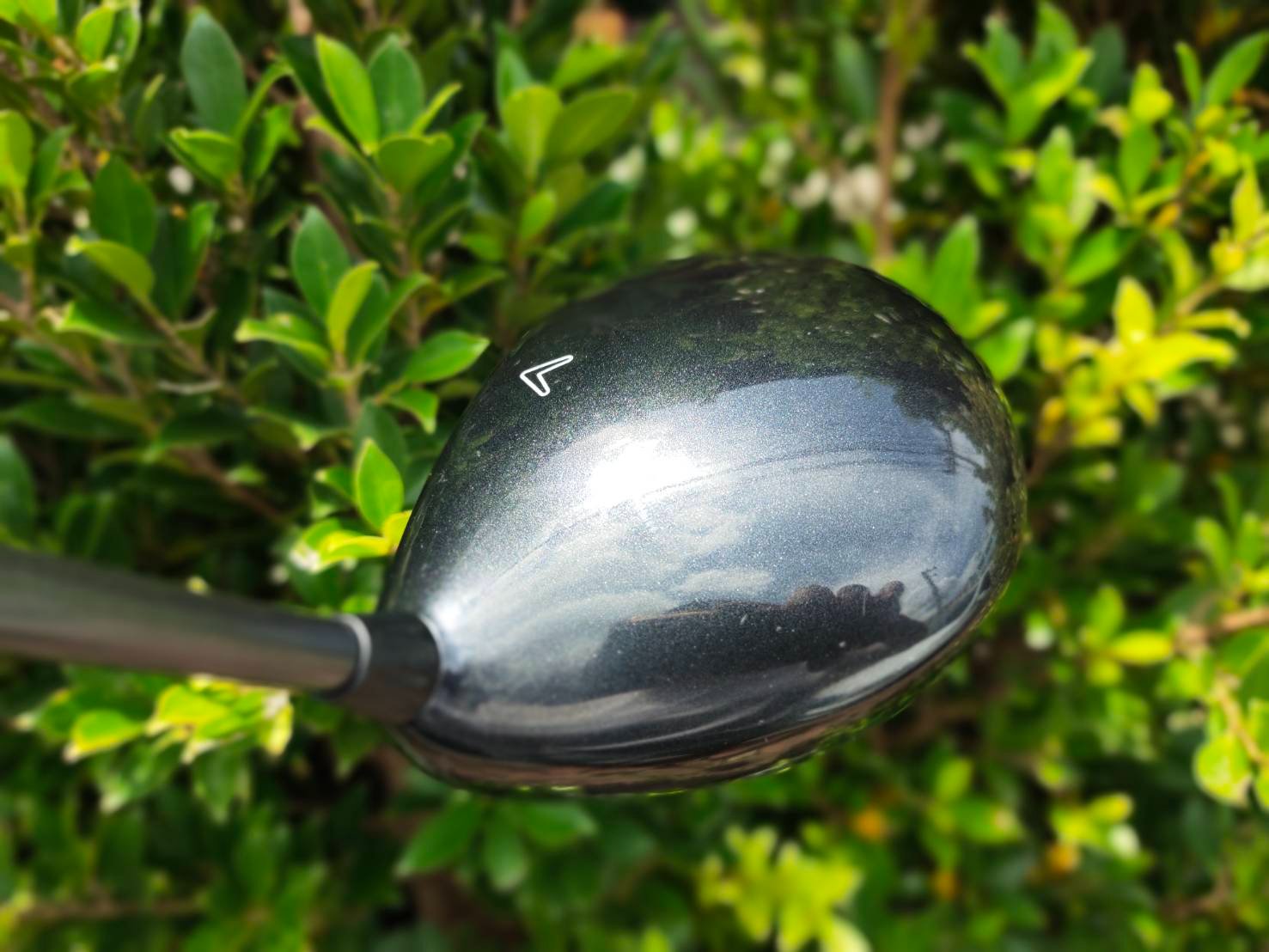 Driver Callaway E.R.C.II FORGED TITANIUM หน้าเด้ง ตัวนี้ตีไกลมากๆ มี COVER