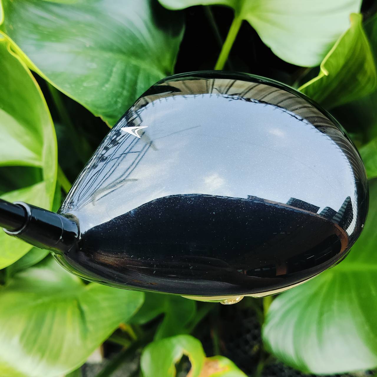 DRIVER XXIO PRIME องศา 11.5 เป็นสเปคที่ตีเหินง่าย ได้ระยะกว่าปกติ ก้าน MUTSUMI HONMA FLEX SR XXIO รุ่นธรรมดาว่าตีดีแล้ว แต่รุ่น PRIME พรีเมี่ยมสูงสุด ไม้กอล์ฟพรีเมี่ยมมือสอง ของแท้ By NakaraLuxurious