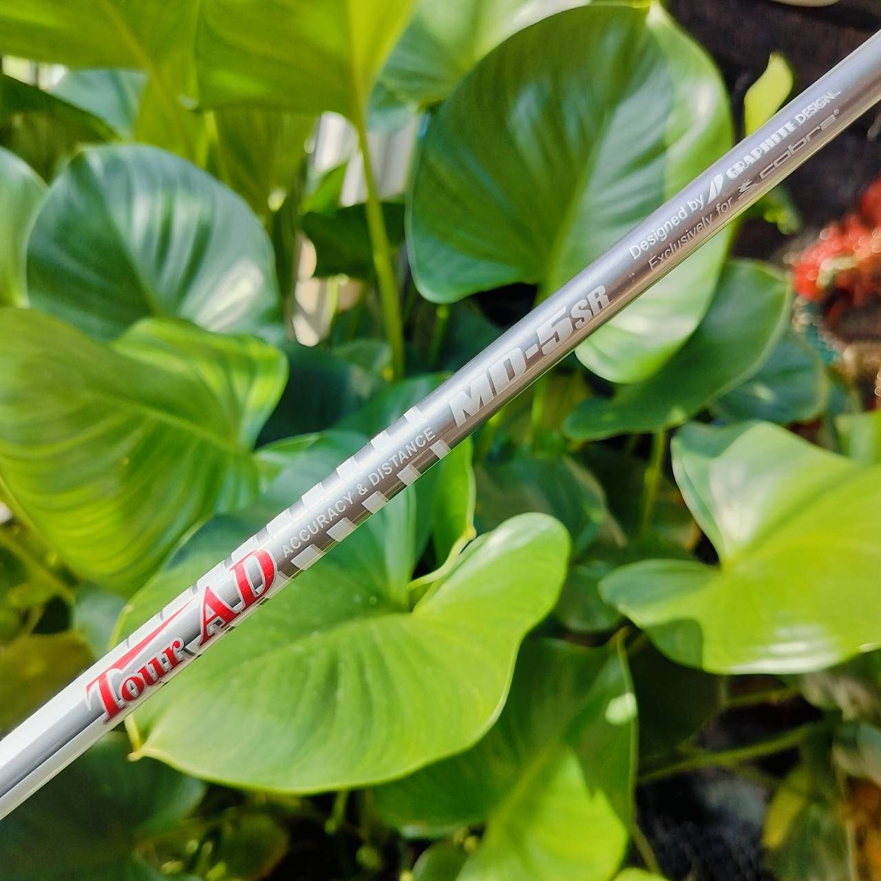 DRIVER KING COBRA L5V องศา 10.5 ก้าน TOUR AD MD-5SR *** แค่ก้านก็เกินคุ้มแล้วค่ะ *** ก้านอย่างเดียวใหม่ๆเป็นหมื่น!!! ไม้กอล์ฟพรีเมี่ยมมือสอง ของแท้ By NakaraLuxurious