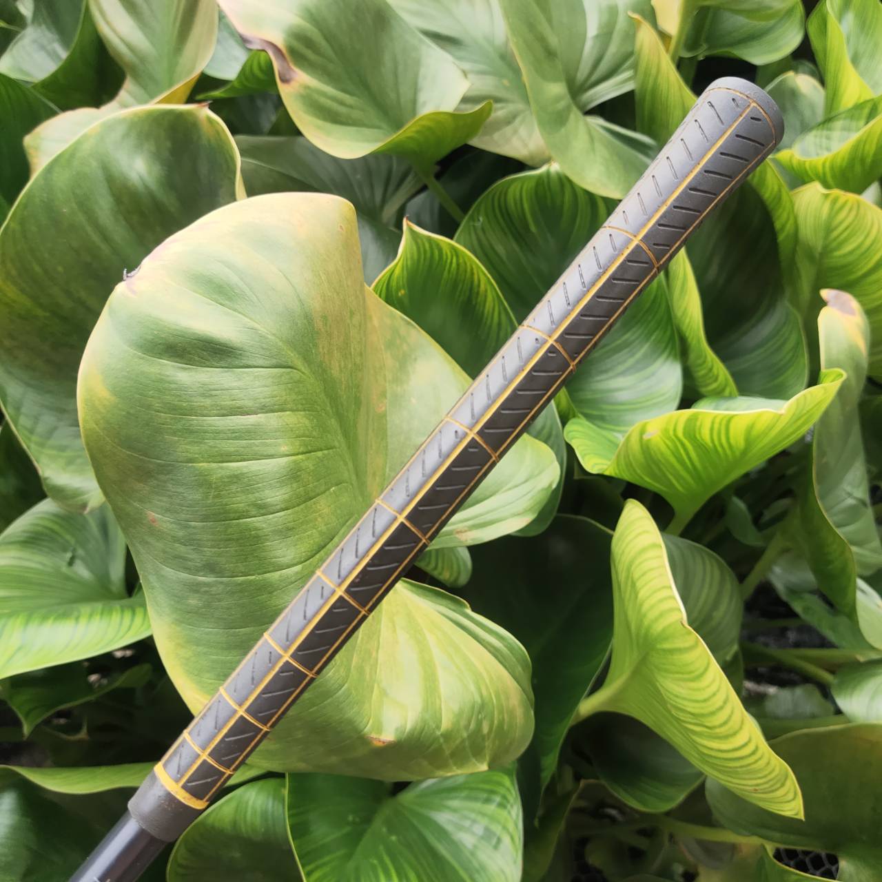 เหล็ก 4 PRGR CT-503 ก้าน M-34 ตีง่าย & forgiveness ดี