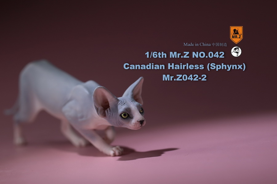 [สั่งจอง]แมวสฟิงก์ แมวน้อยขนกลับด้าน 1/6 Mr. Z Animal Model No.42: 1/6th Canadian Hairless (Sphynx)