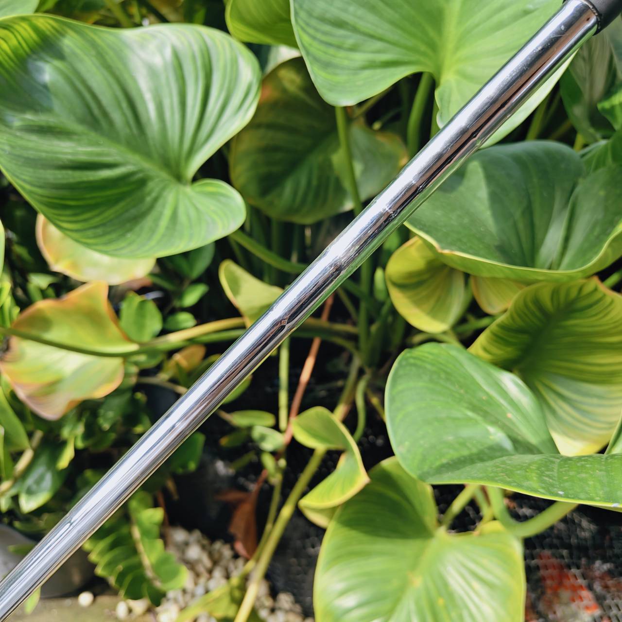 WEDGE PING TOUR-W – 58° | Bounce 6° – ความแม่นยำรอบกรีนที่คุณต้องลอง!