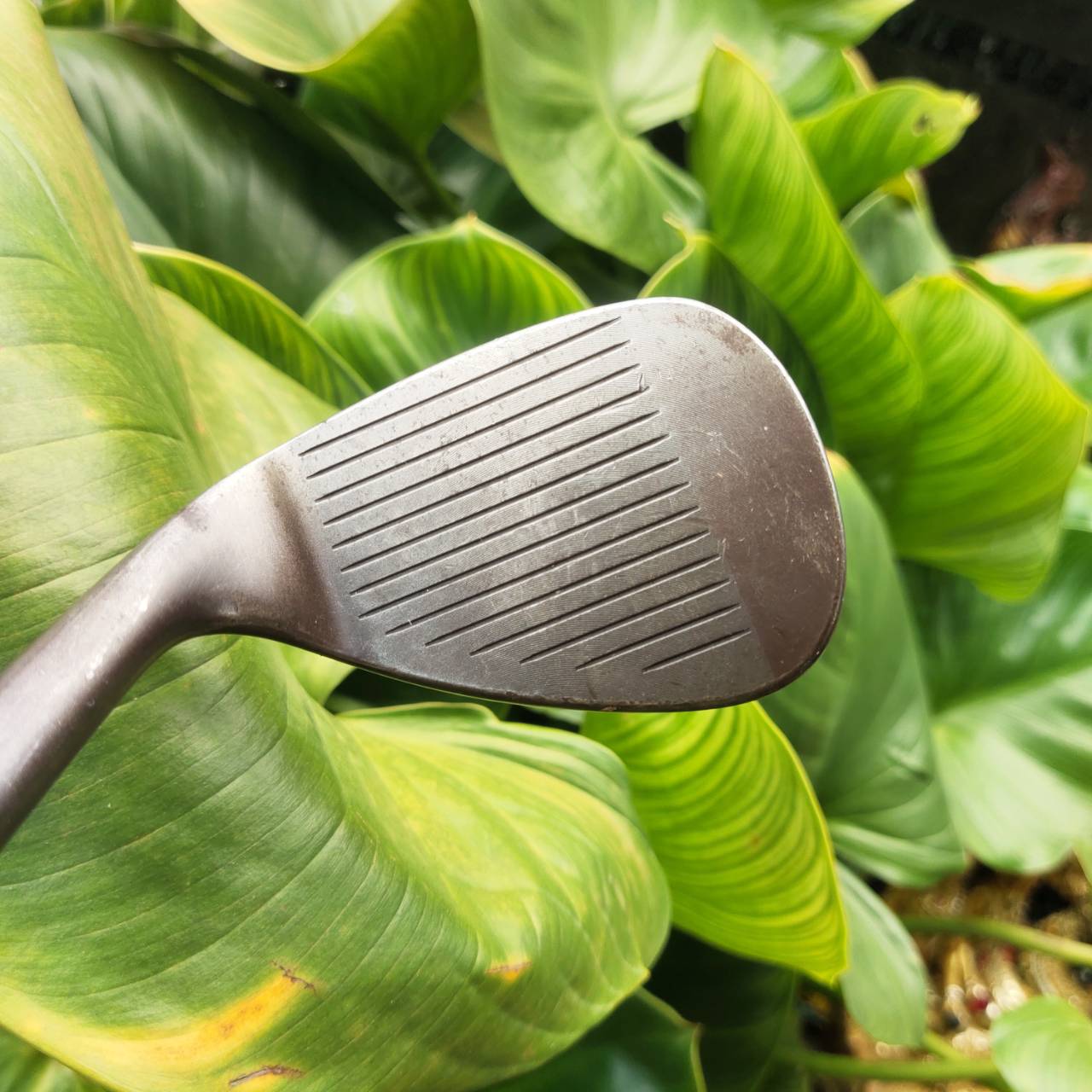 Titleist Vokey TVD52 BV Custom Wedge เป็นเวดจ์ระดับทัวร์ที่ออกแบบโดย Bob Vokey รุ่น TVD (Tour Van Design)