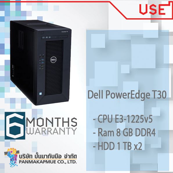 Dell PowerEdge T30