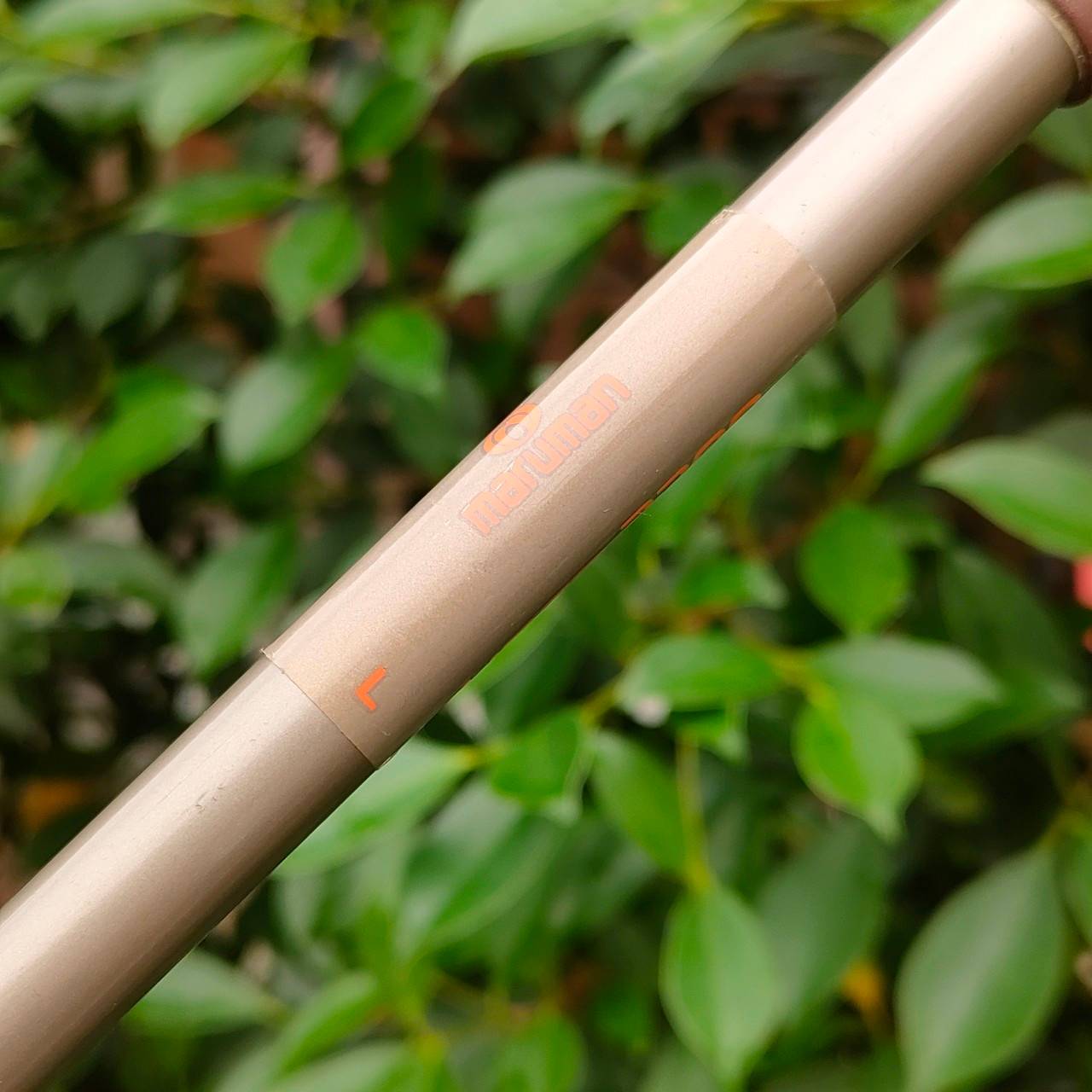 ** ไม้กอล์ฟสำหรับผู้หญิง ** ชุดเหล็ก MARUMAN SOLE MSL71 มีเหล็ก 5-9 เเละ PW ก้าน HECT 2200 FLEX L