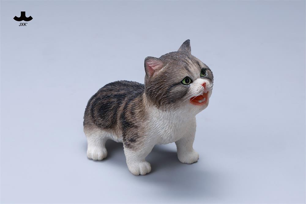 [สั่งจอง] JXK 1/6 : Kitten