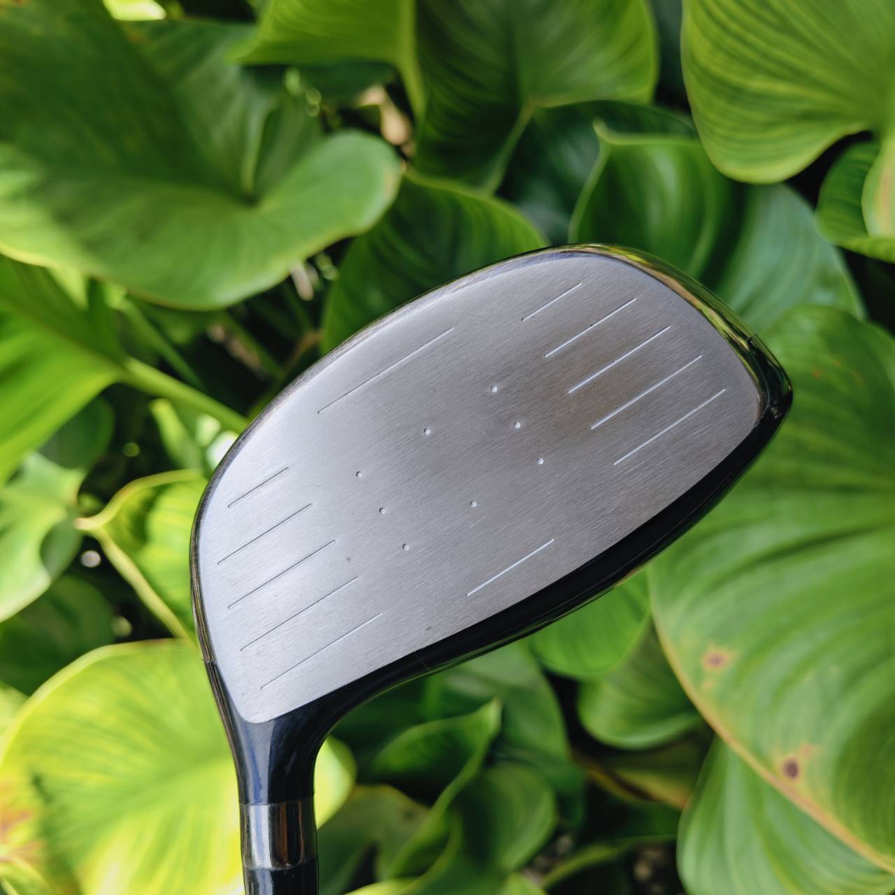 Driver YONEX NANO V SD เป็นรุ่นที่ญี่ปุ่นนิยมมาก ใช้วัสดุสุดพรีเมี่ยม