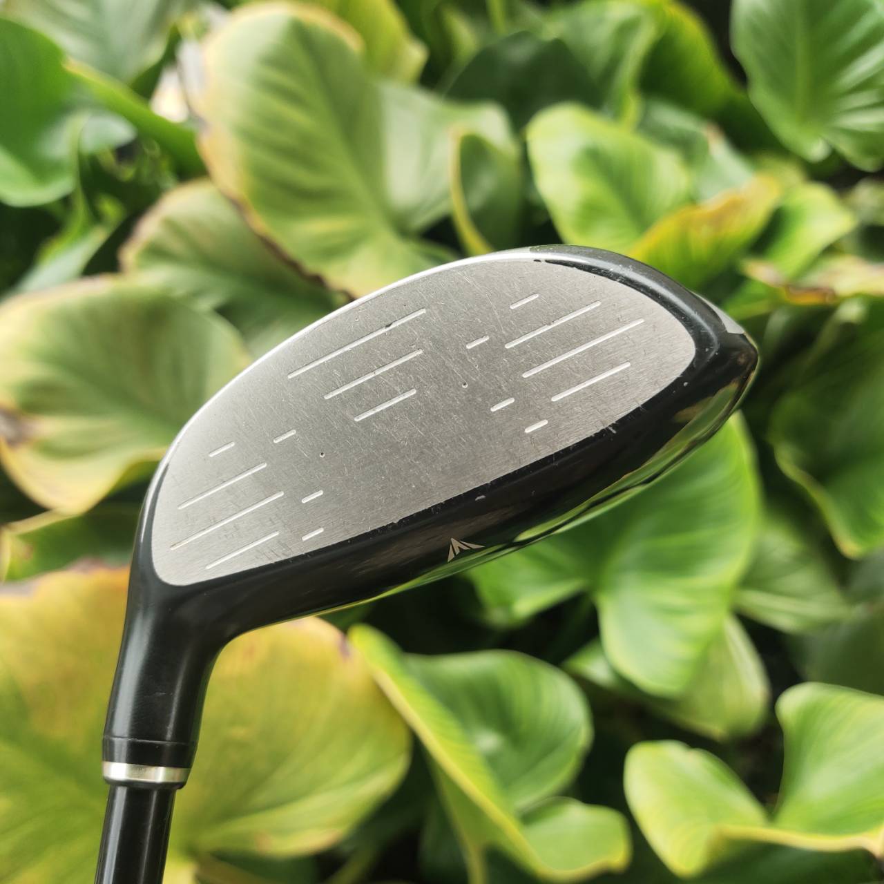 5W XXIO 6 Loft 18° FACE CUP DESIGN หน้าไม้บาง ยืดหยุ่นสูง (high COR) รีด ball speed สุด!!!