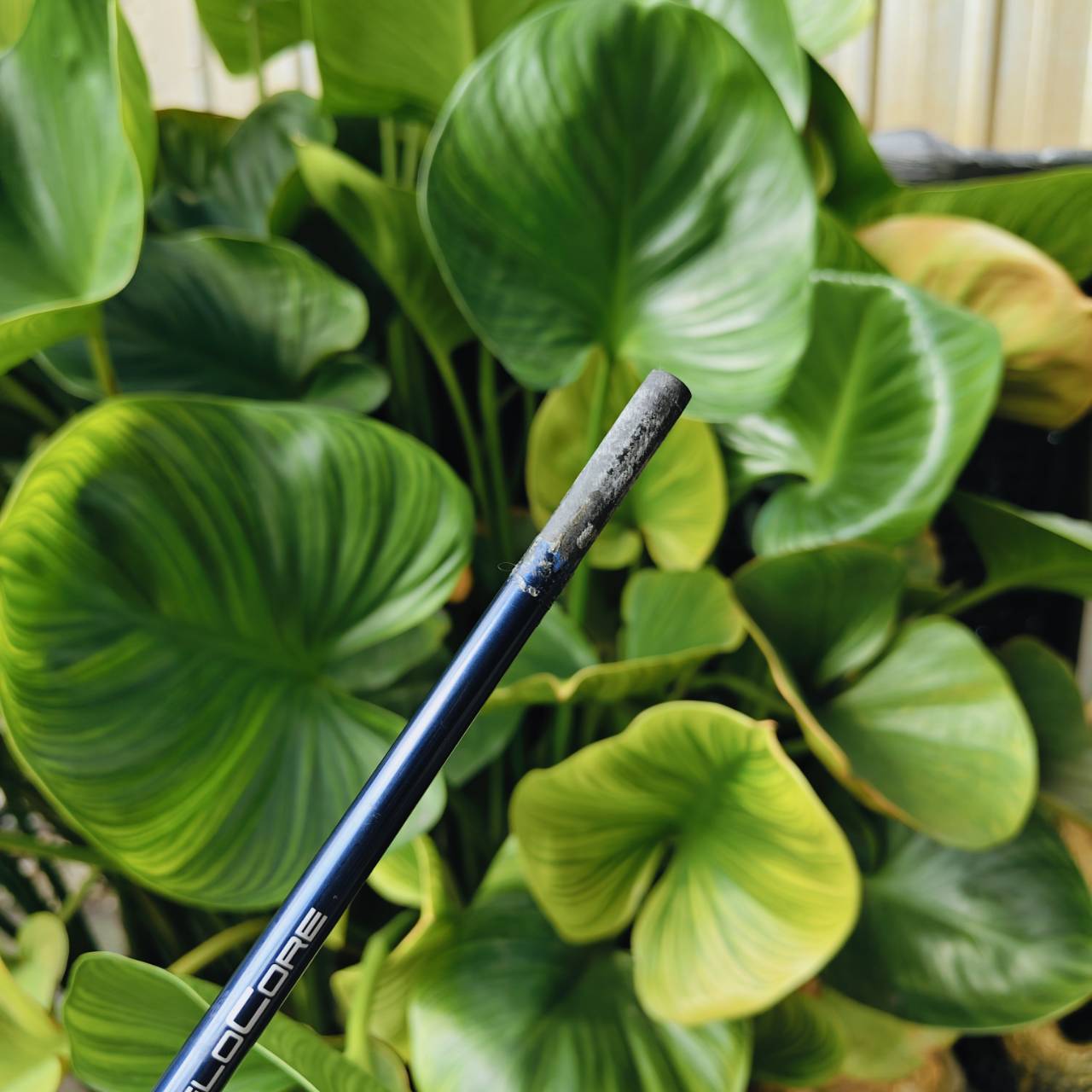 FUJIKURA VENTUS 6X – ก้านระดับทัวร์โปรที่ให้ทั้งพลัง ความแม่น และฟีลลิ่งแน่นสุดยอด!