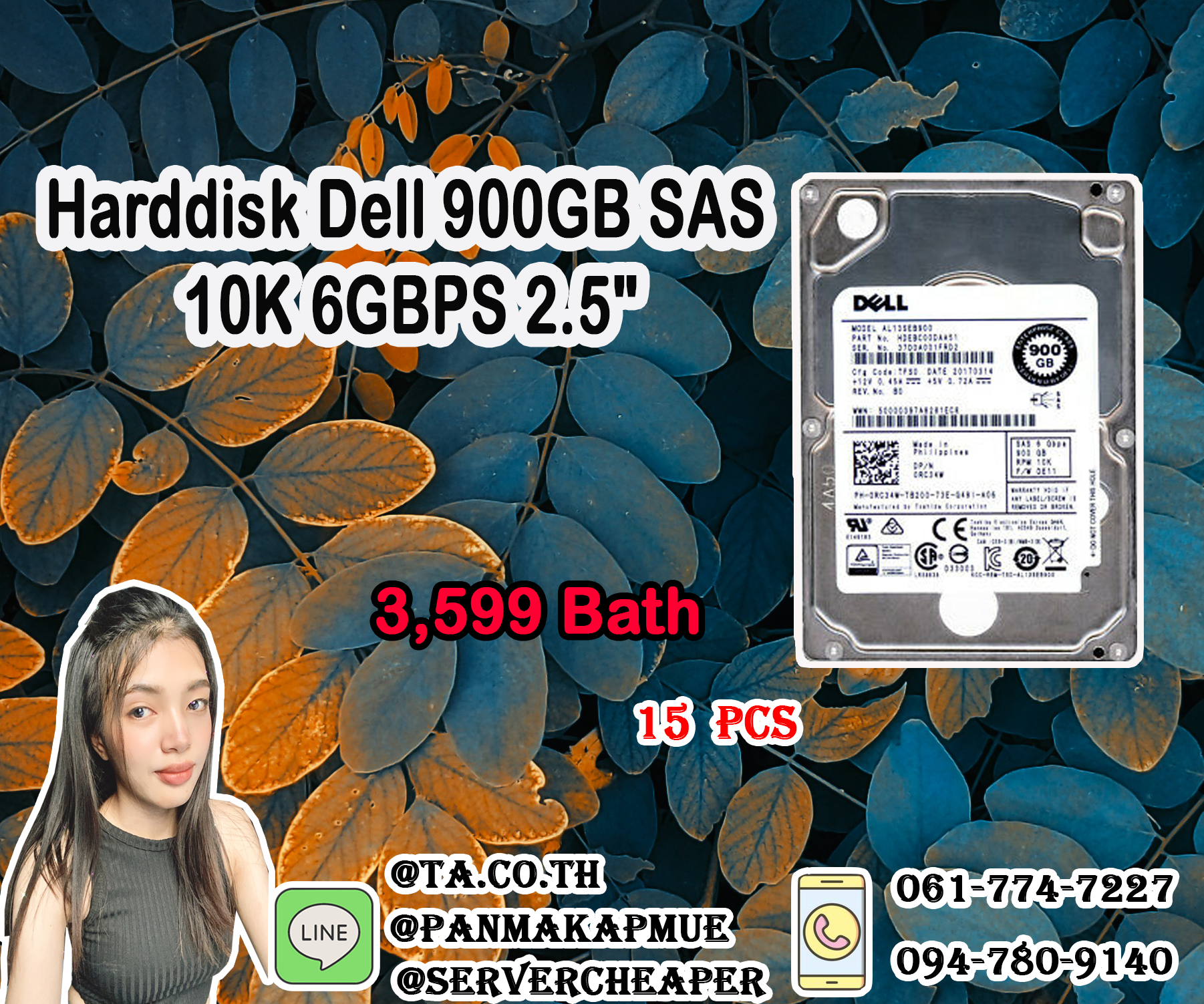 Harddisk Dell 900 SAS 2.5 10K