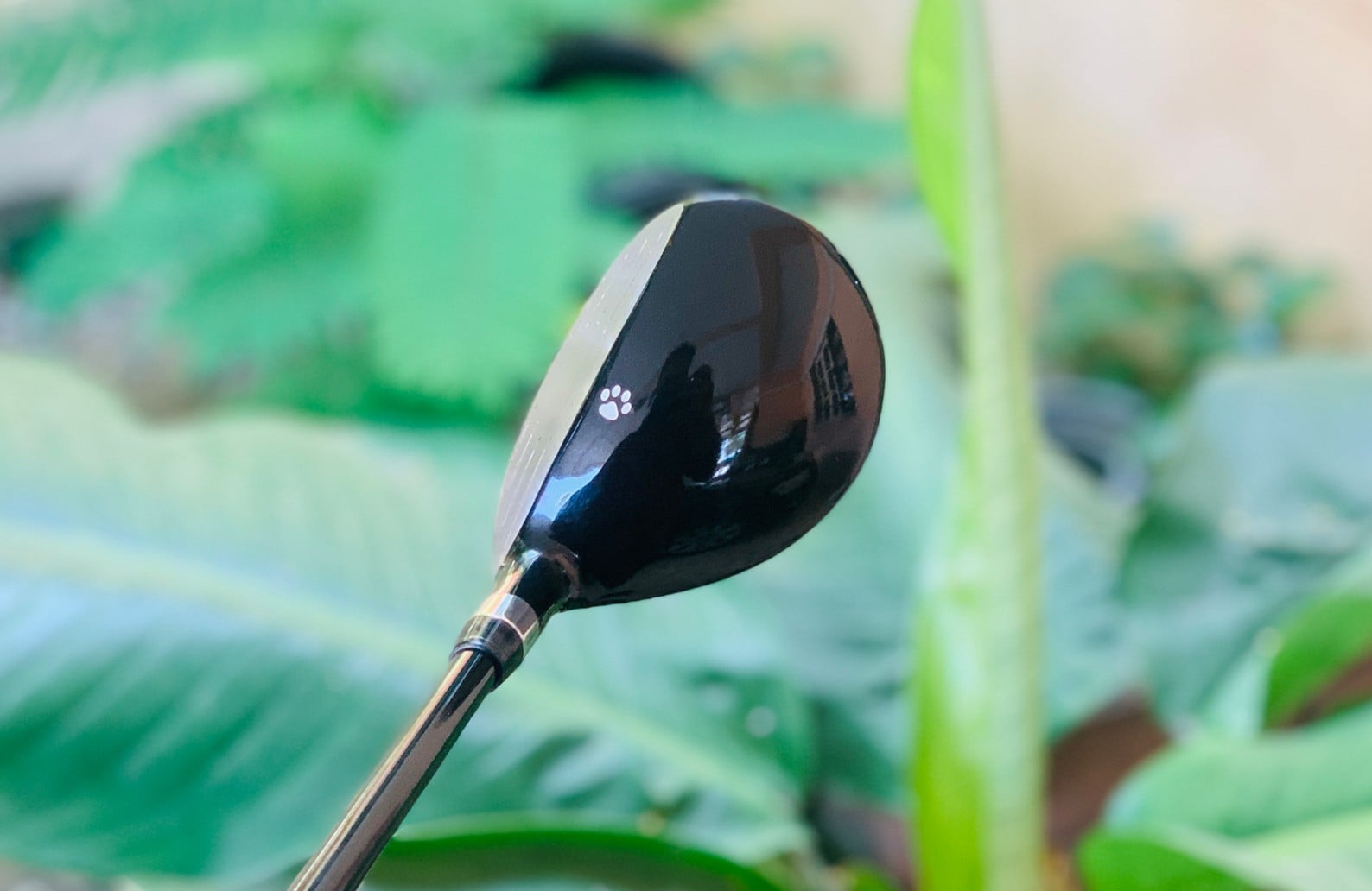 Hybrids Rooseveelt Teddy Bear G-18 **ไม้กอล์ฟสำหรับผู้หญิง**