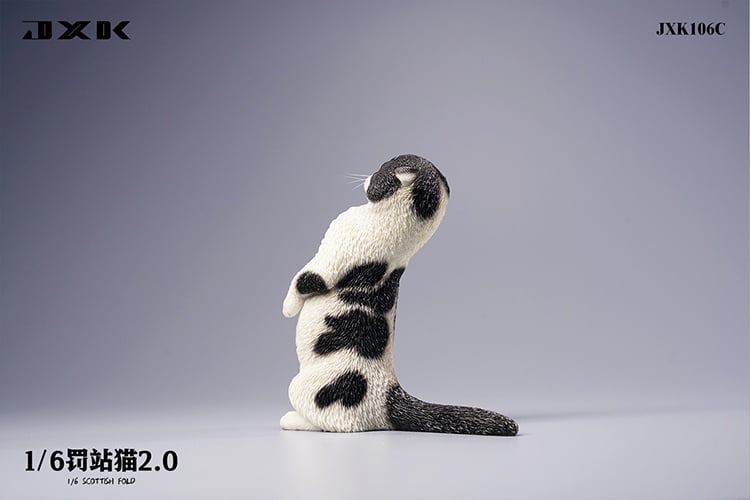 [สั่งจอง]JXK : Scottish Fold/Chckling/Duckling
