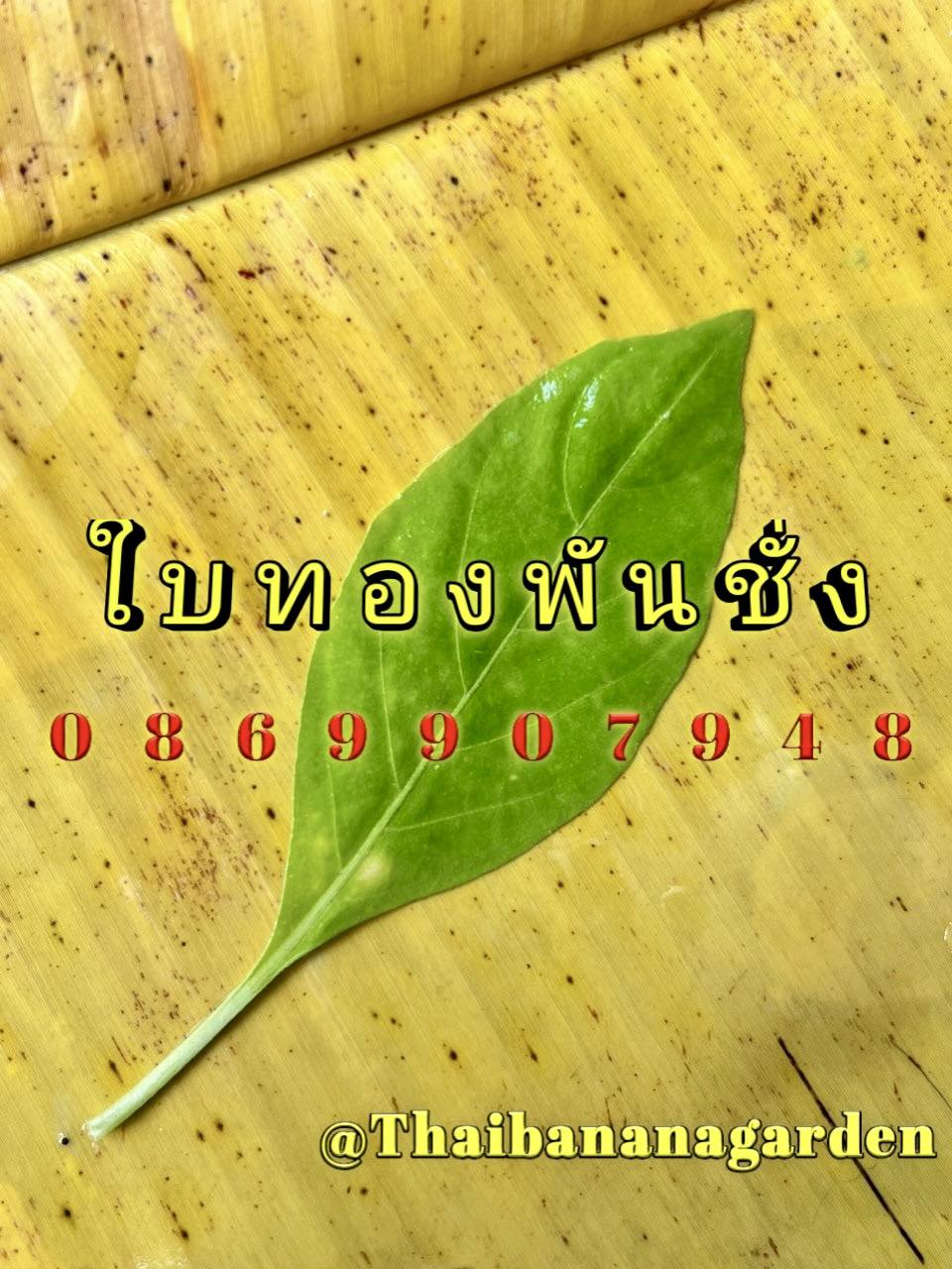 ใบไม้มงคล (พิธี)