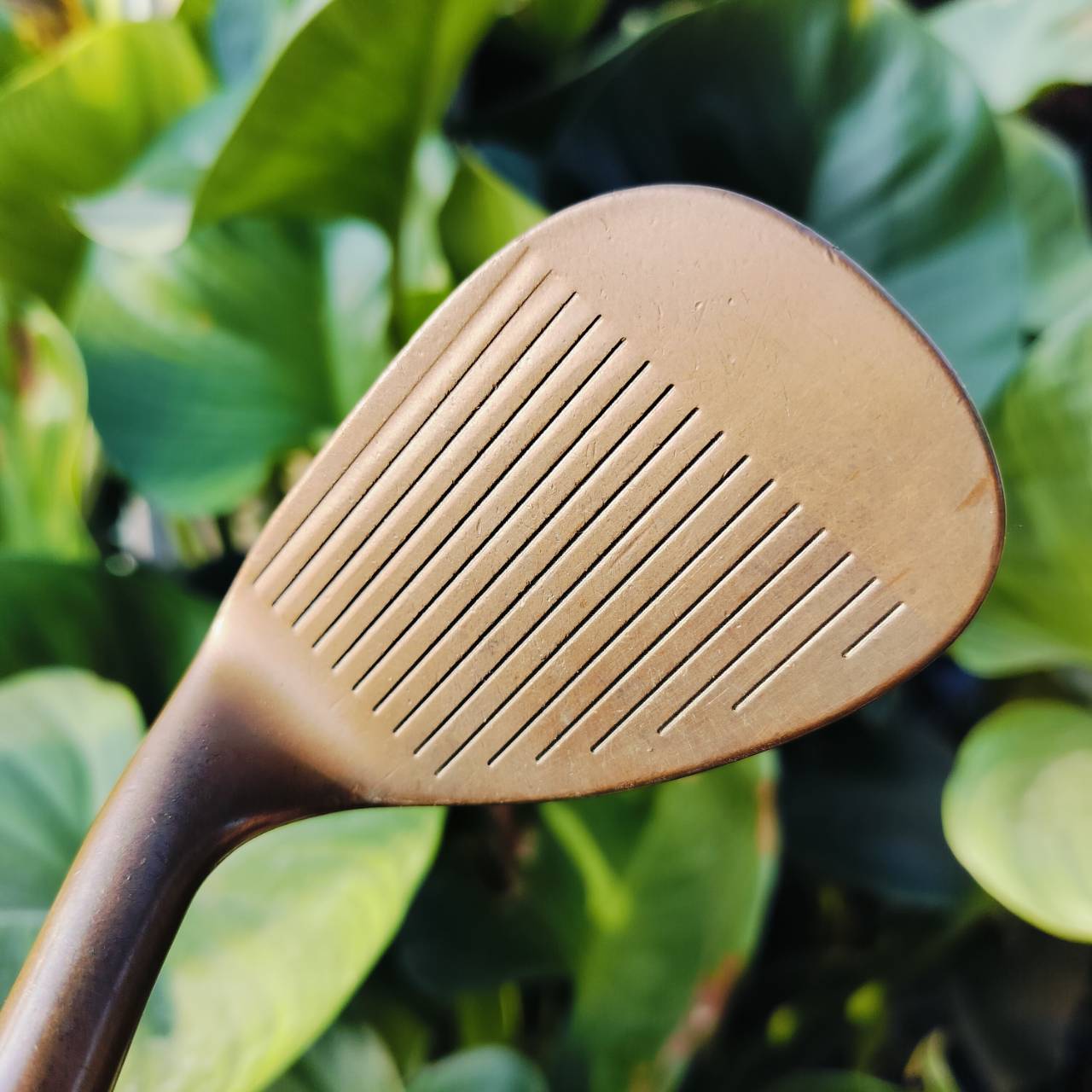 Cleveland Byron Nelson 50Th Becu Beryllium Copper RH Wedge 60° วัสดุทองแดงระดับพรีเมี่ยมสุดๆๆ หายากมากๆ ถ้าขัดขึ้นมาสวยจัดๆ ก้าน WEDGE FLEX ไม้กอล์ฟพรีเมี่ยมมือสอง ของแท้ By NakaraLuxurious