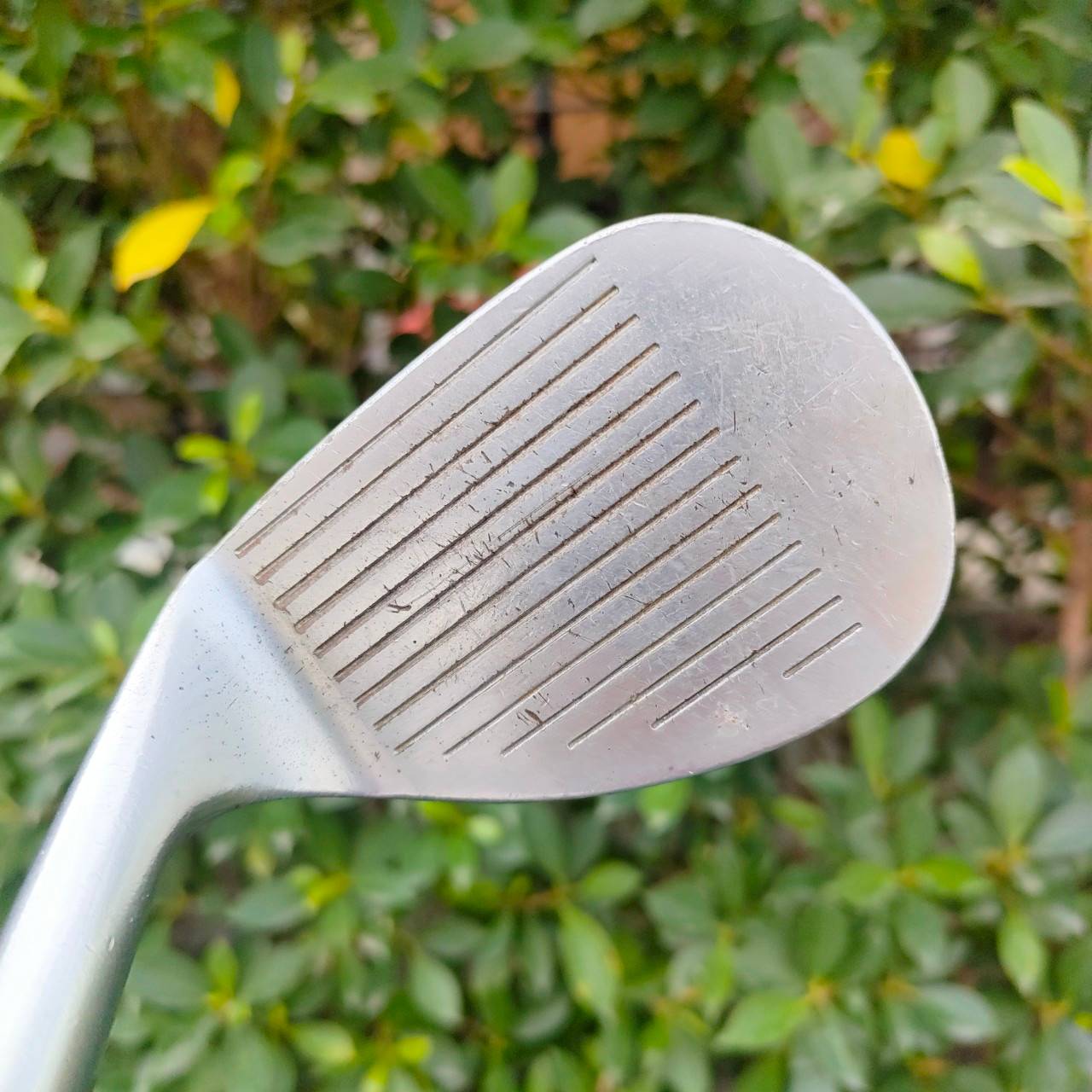 SW HONMA CLASSIC-II องศา 56 ใบ FORGED พรีเมี่ยม HIROHONMA สุดยอดคุณภาพ