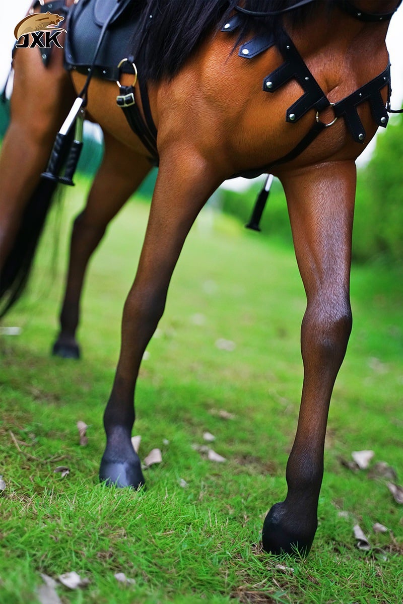 [สั่งจอง]JXK X32101A 1/3 : Akhal-teke horses