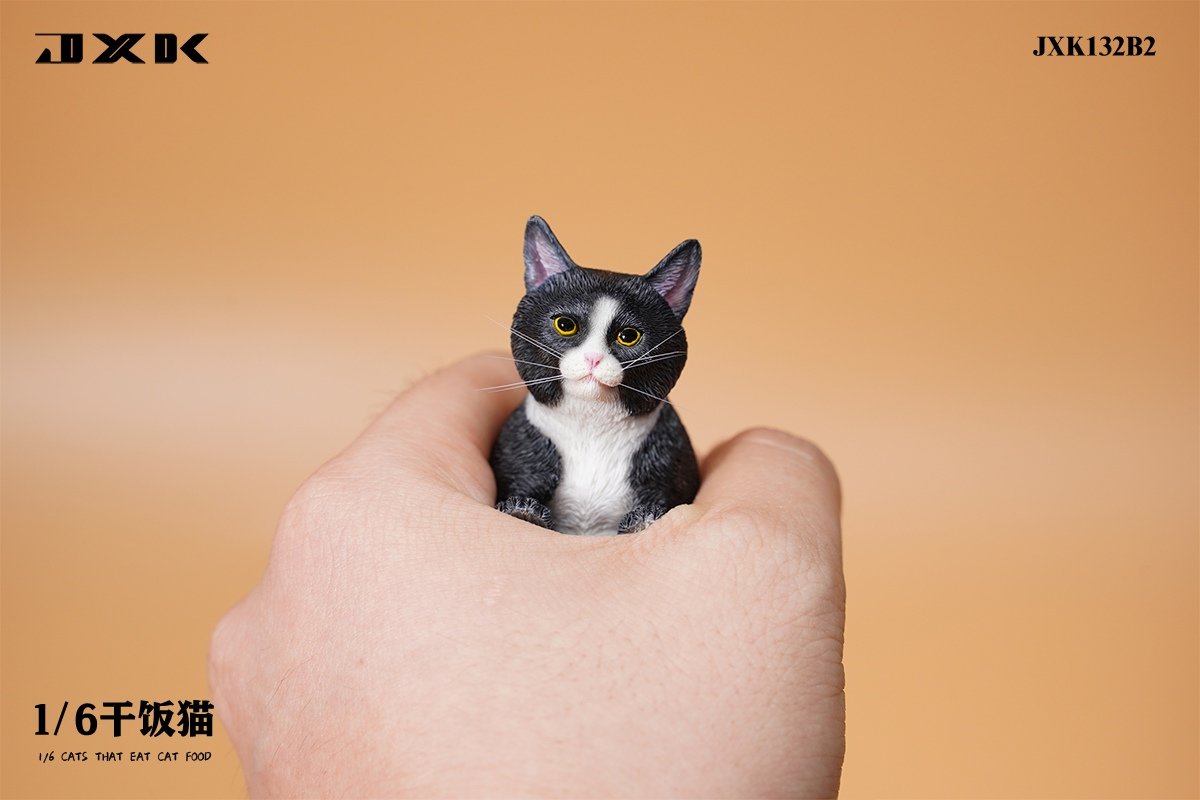 [สั่งจอง]JXK 1/6 : Cats that eat cat food