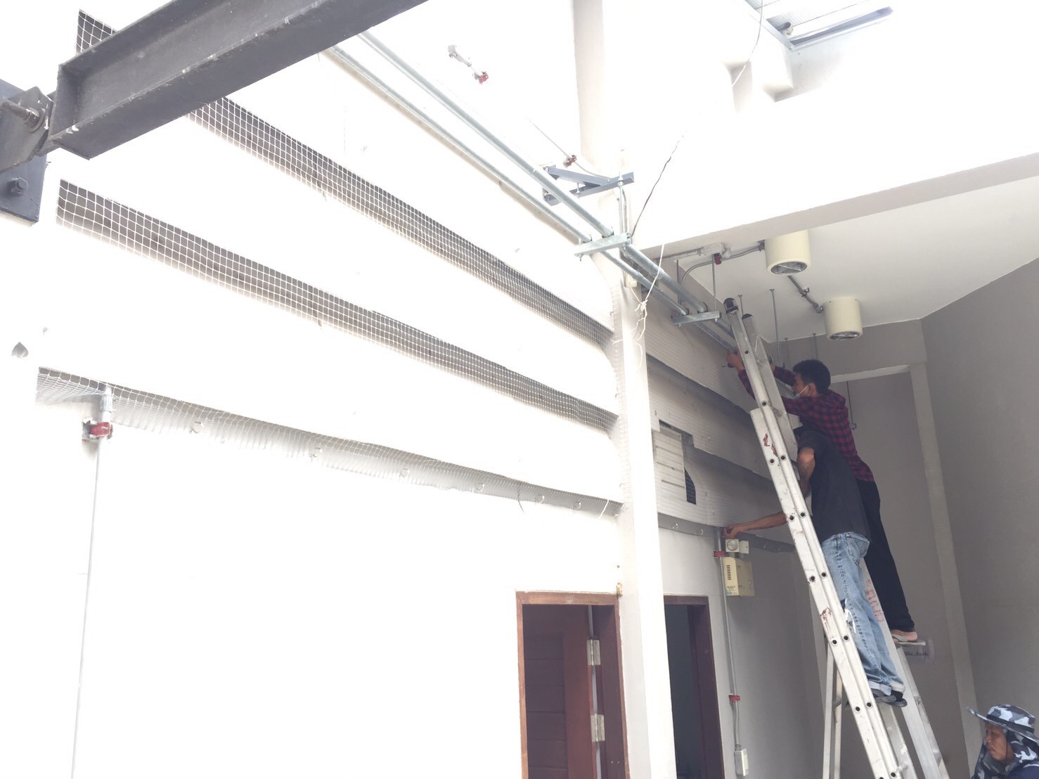 งานติดตาข่ายกันนก ตึกกายวิทยาทาน มหาวิทยาลัยมหิดล