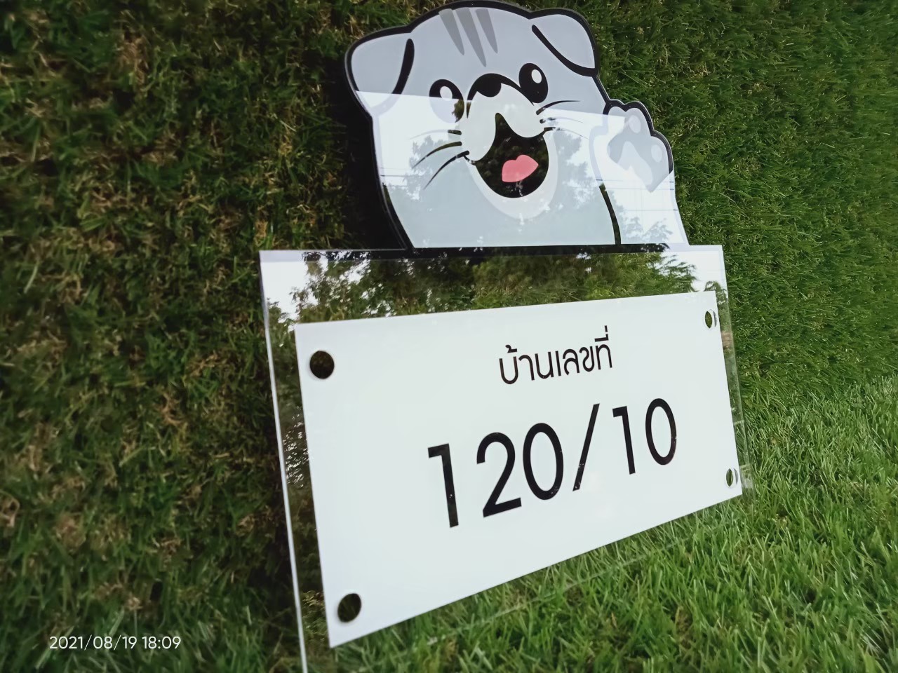 ป้ายสกีน