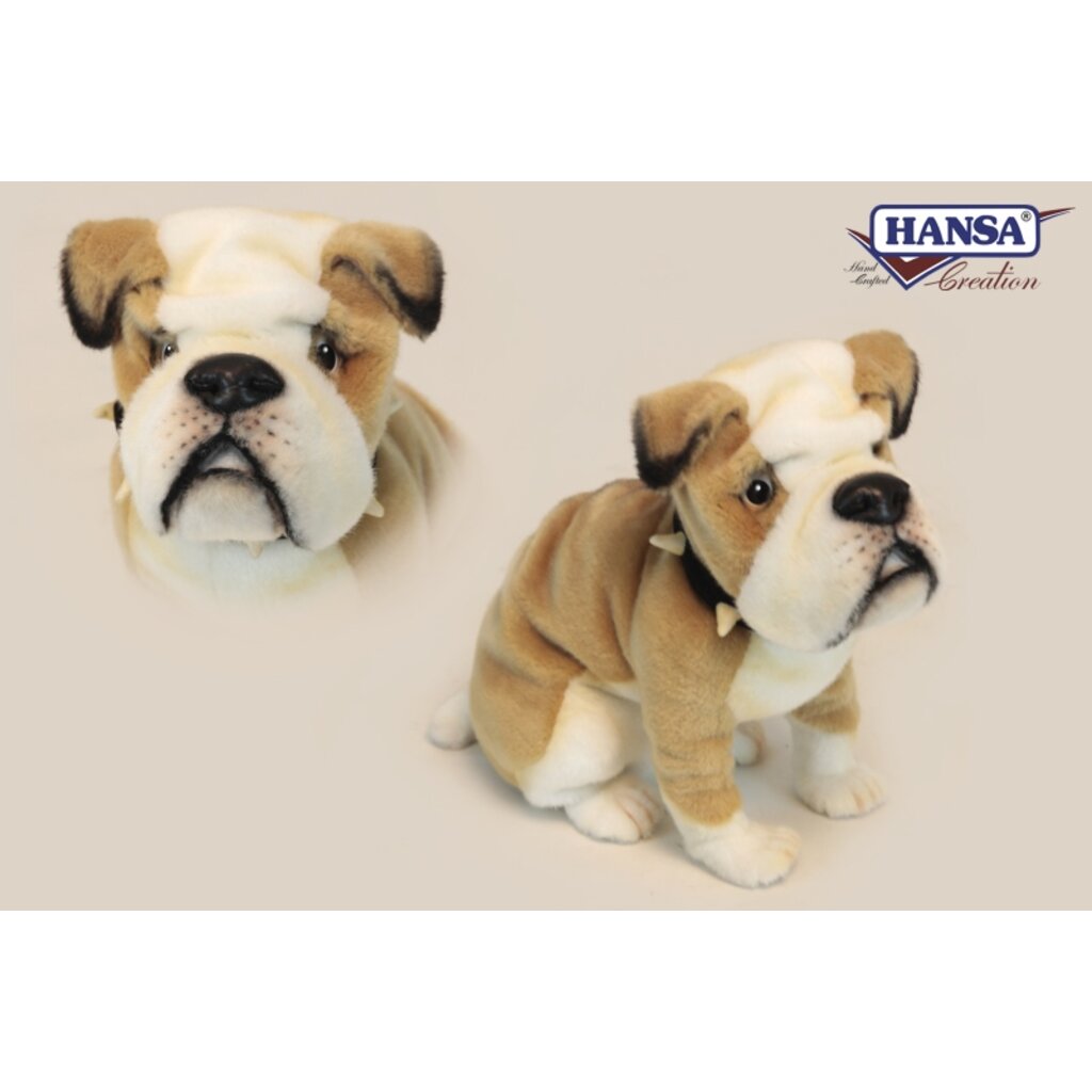 6421 Bulldog Sitting 32cm.L